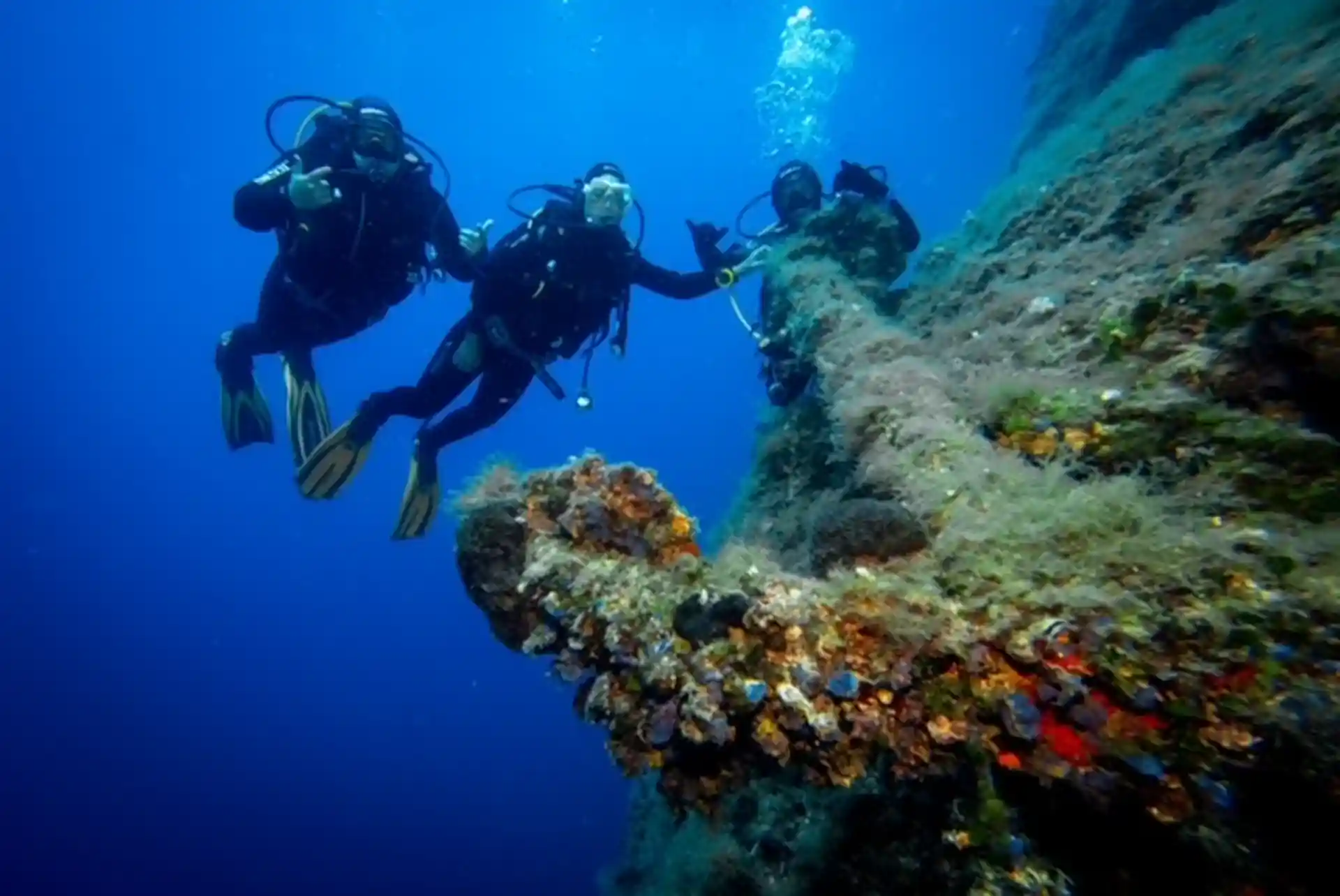 Dive shop photo
