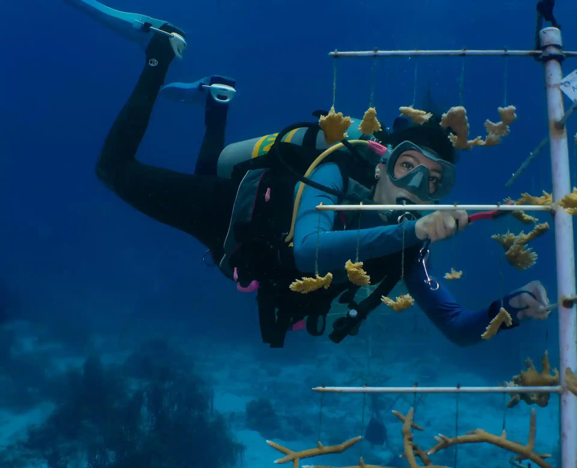 Foto de la actividad