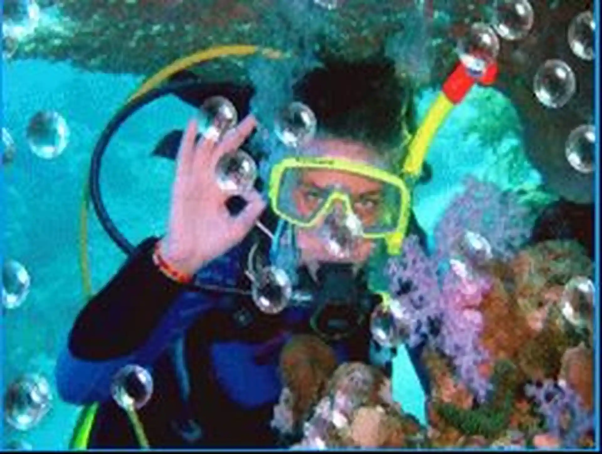 Dive shop photo
