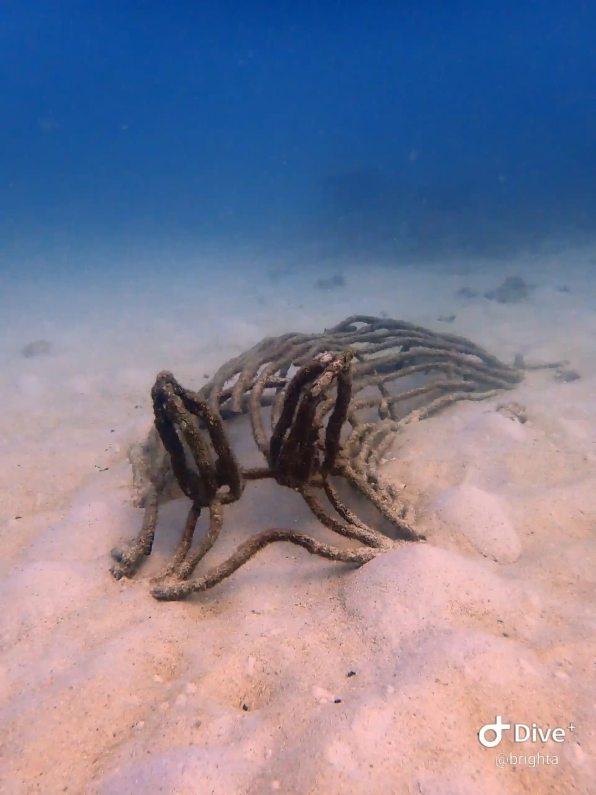 다이빙 포인트 사진