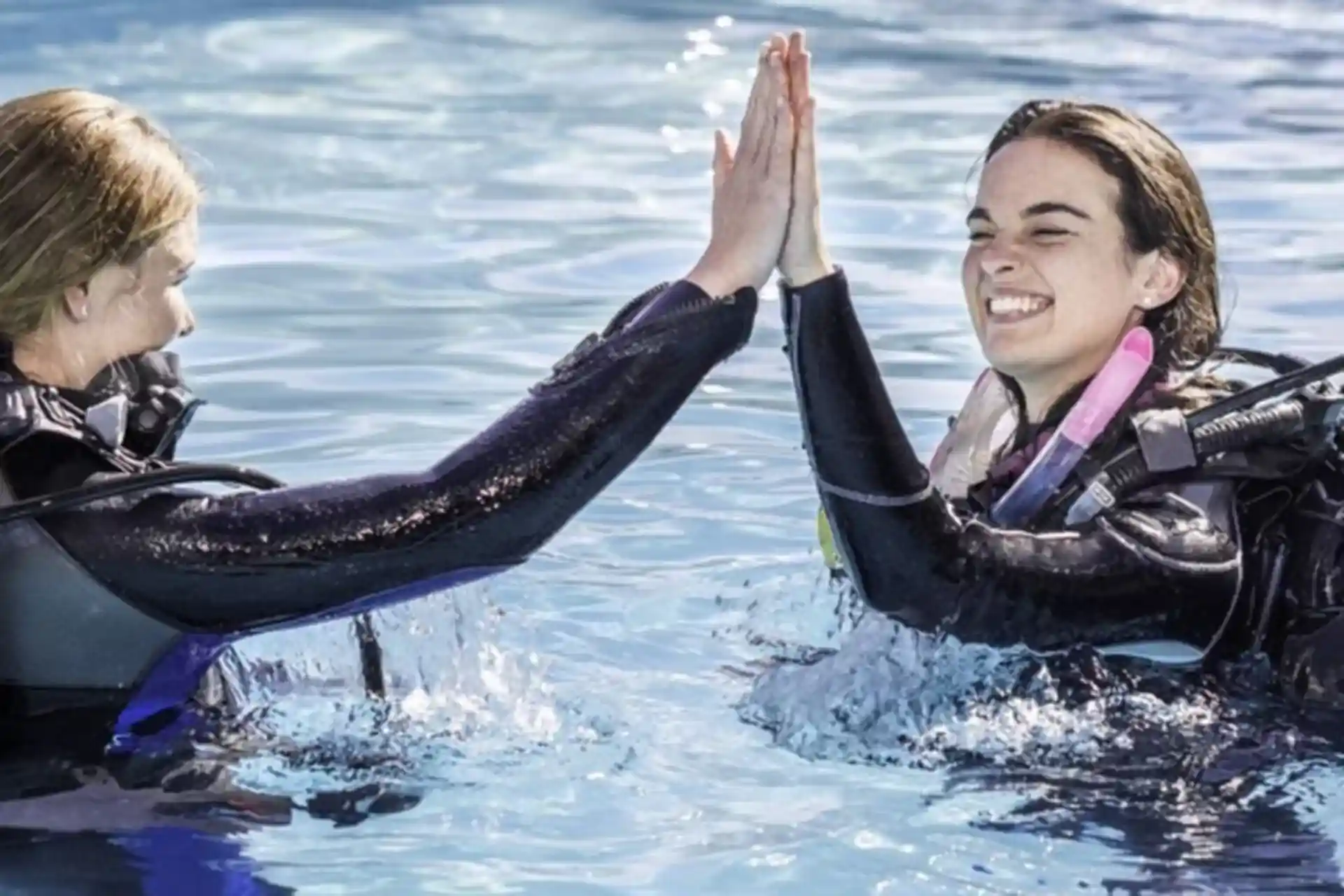 Gain confidence in your dive skills.