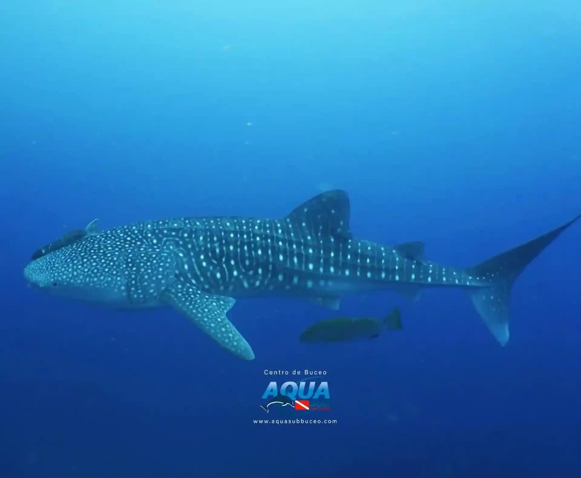 Foto de la actividad