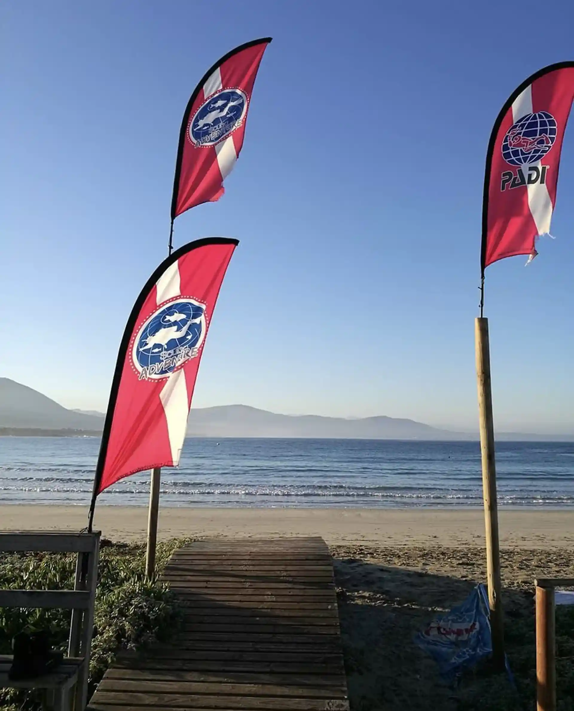 Foto de la tienda de buceo