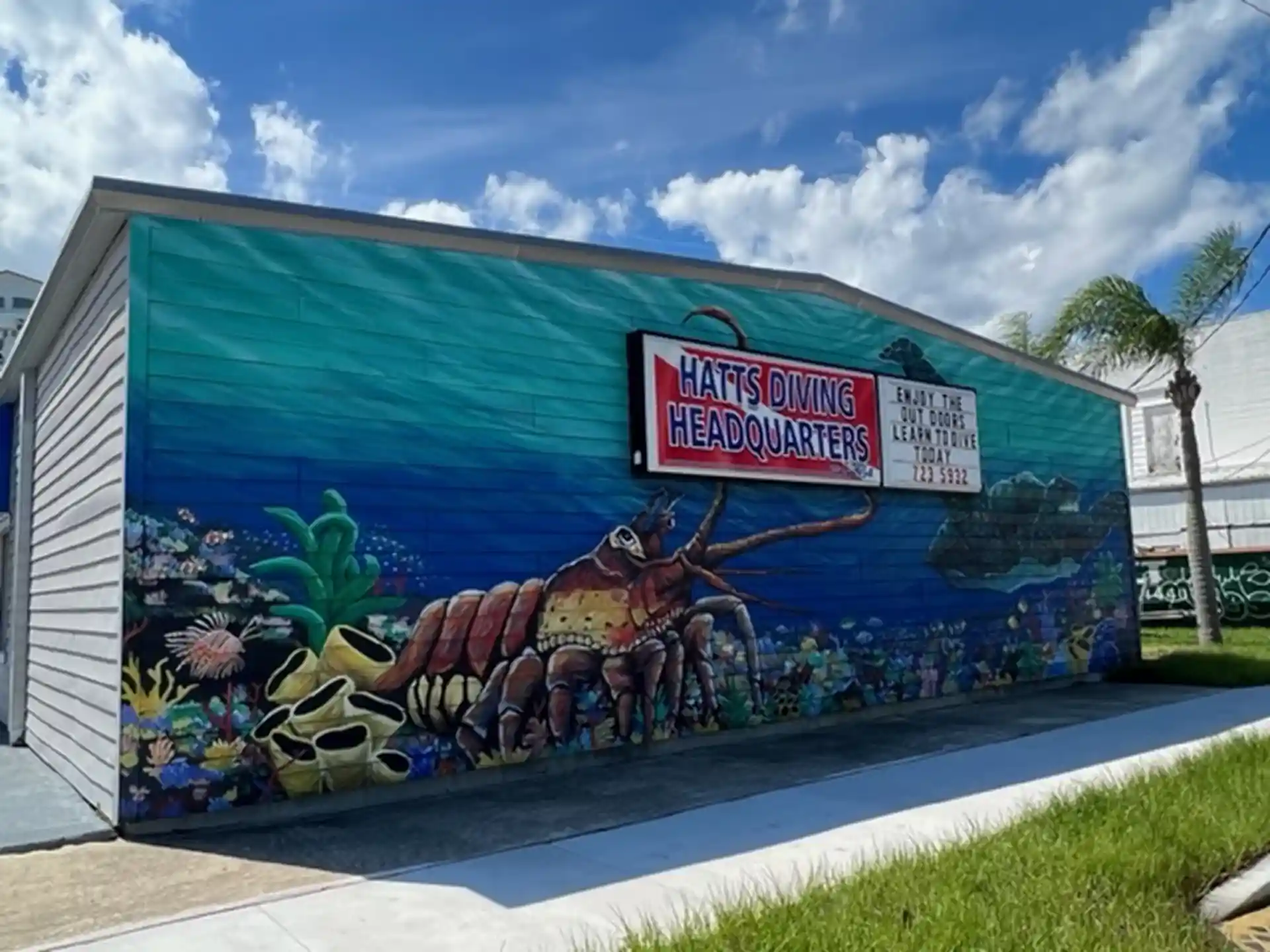 Foto de la tienda de buceo