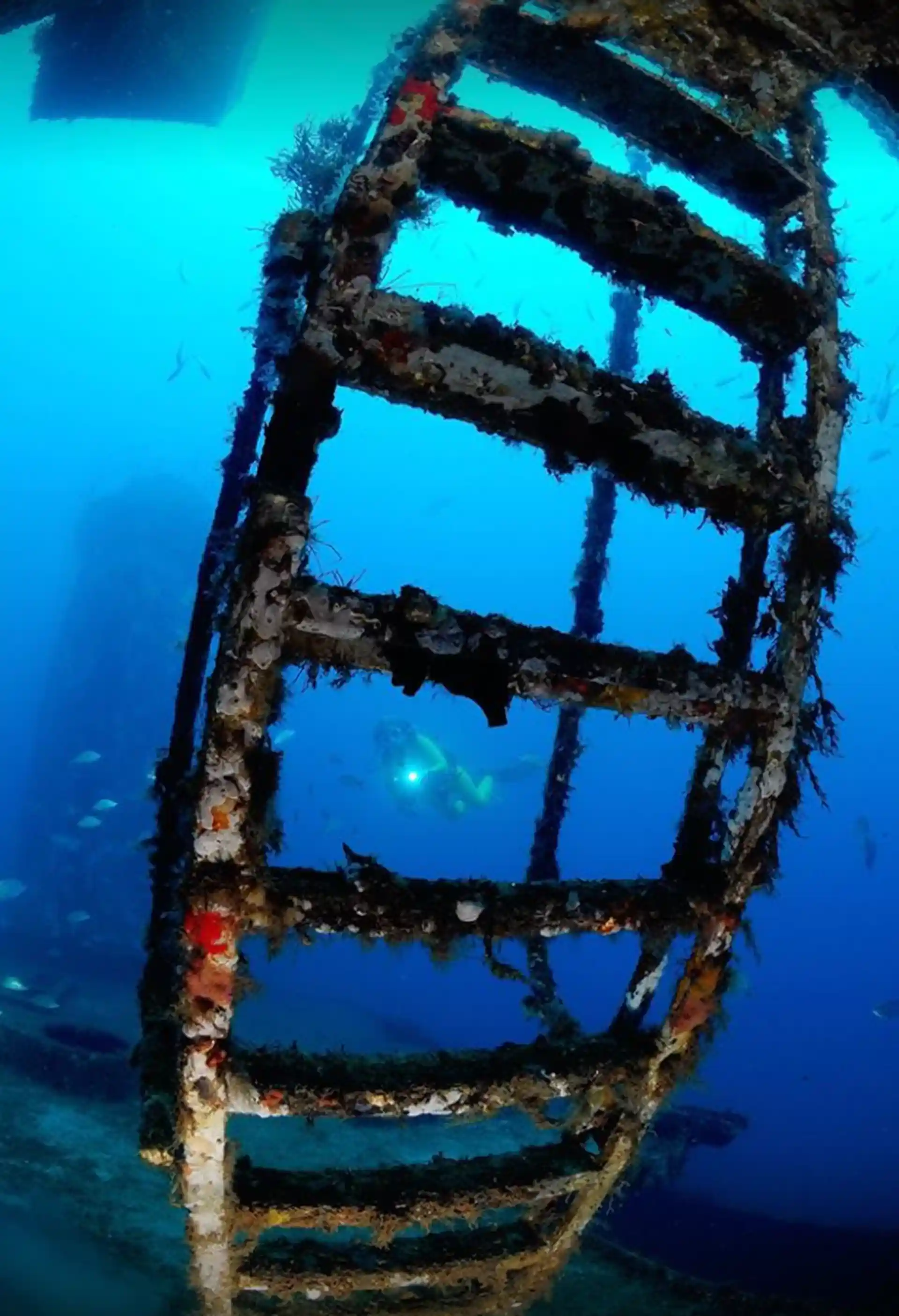 Dive shop photo