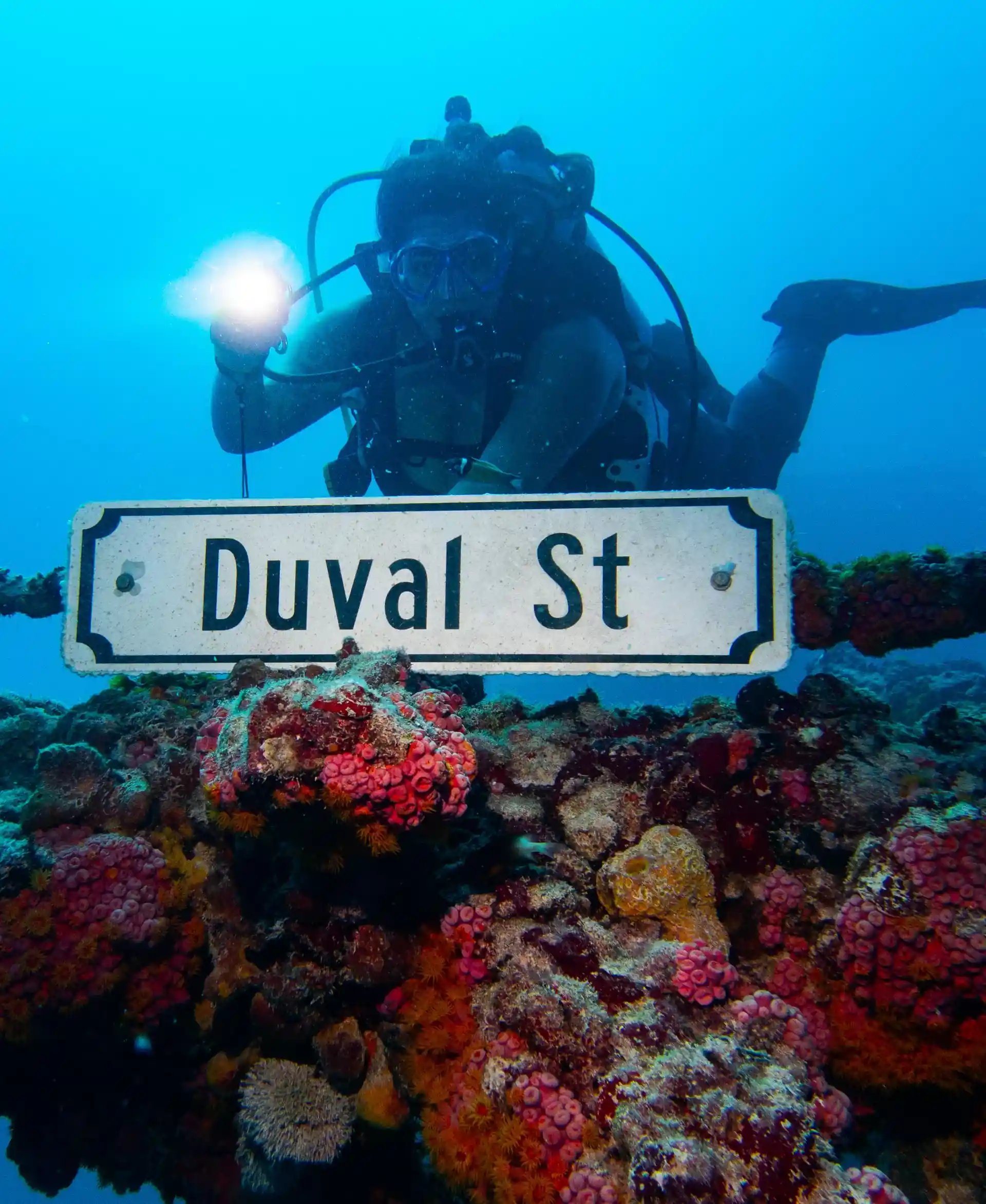 A picture with the iconic Duval sign