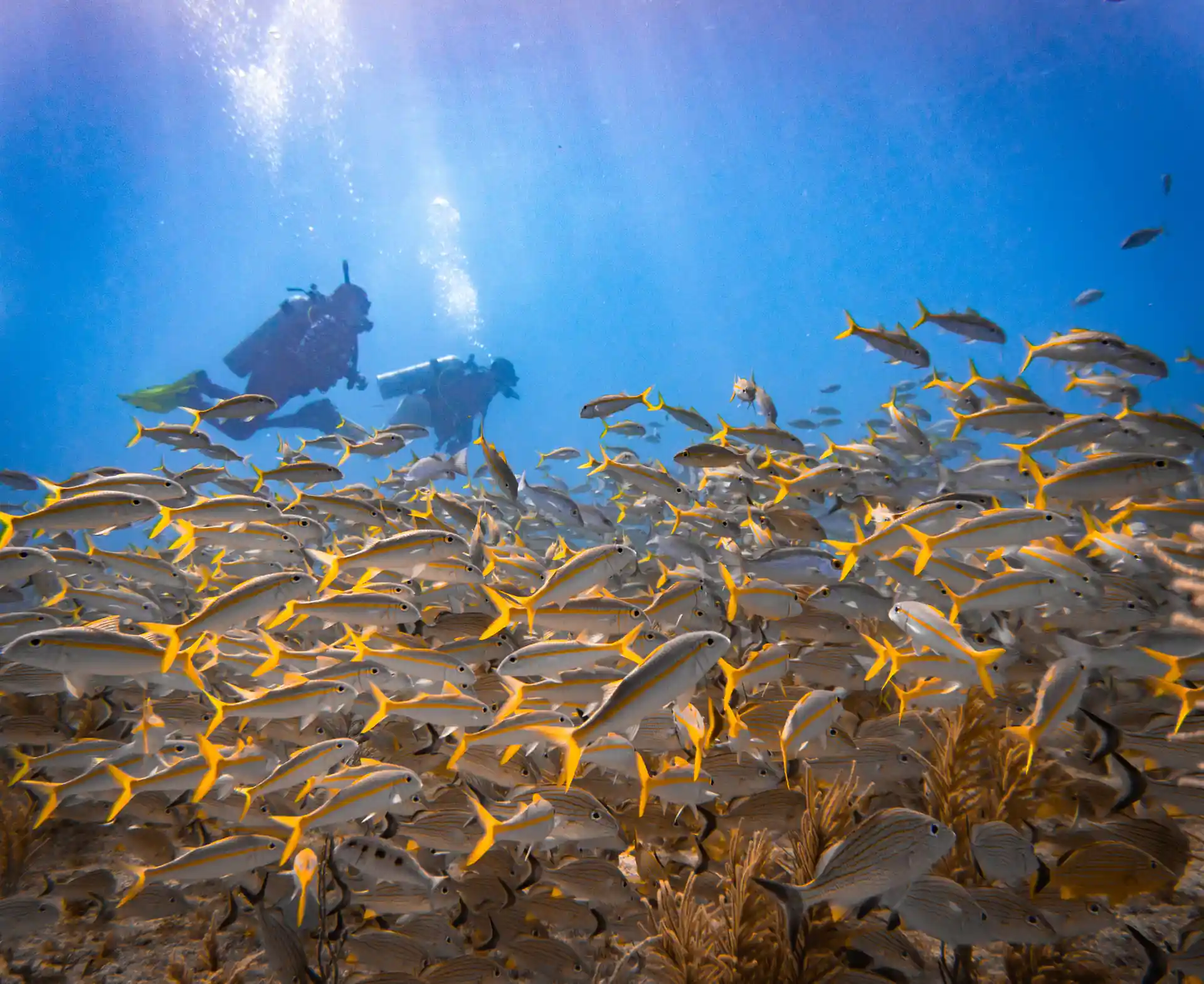 Foto de la actividad