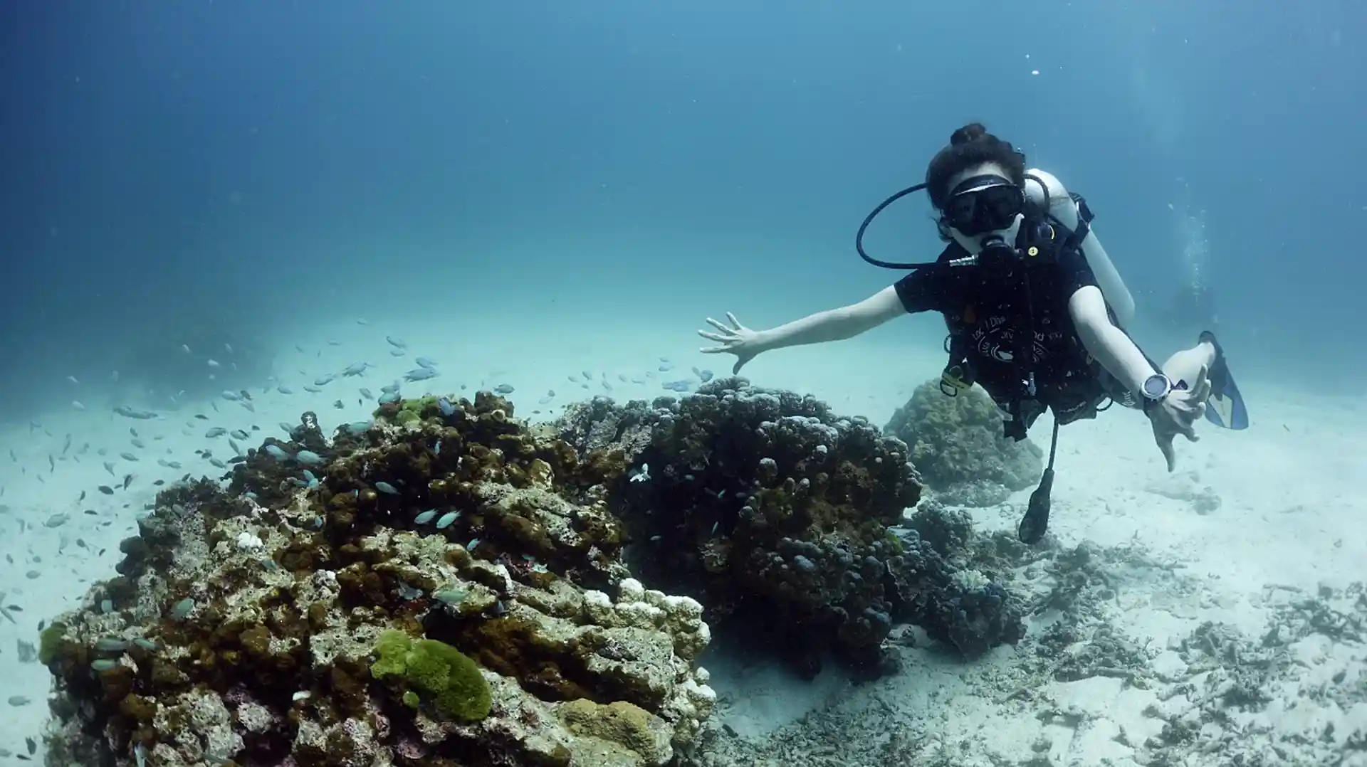 Racha Yai is a calm and easy dive site, perfect for beginners or a relaxed check dive.