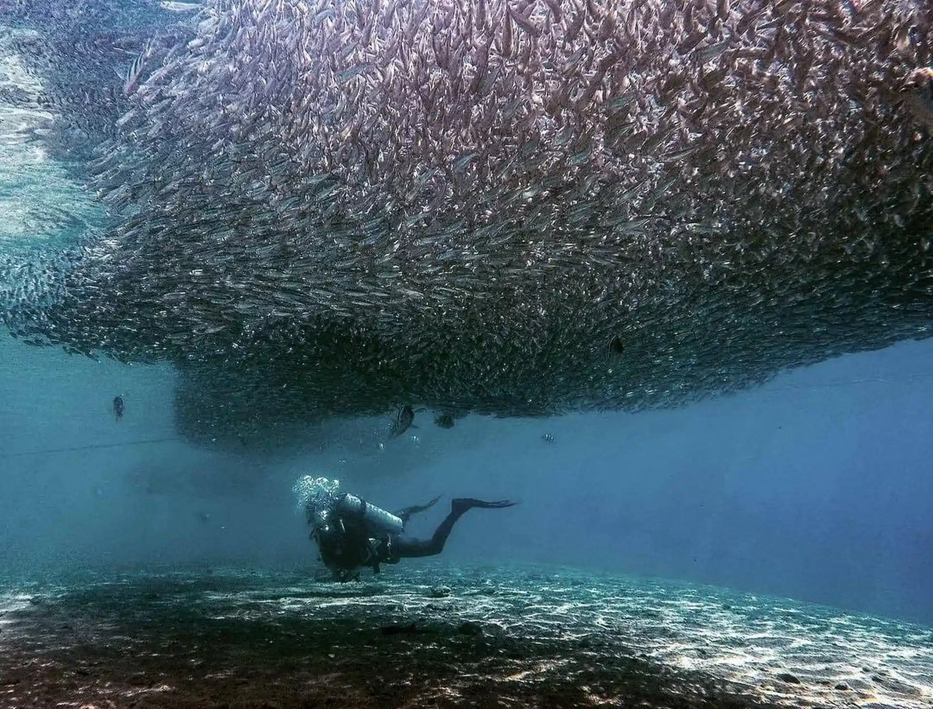 Dive shop photo