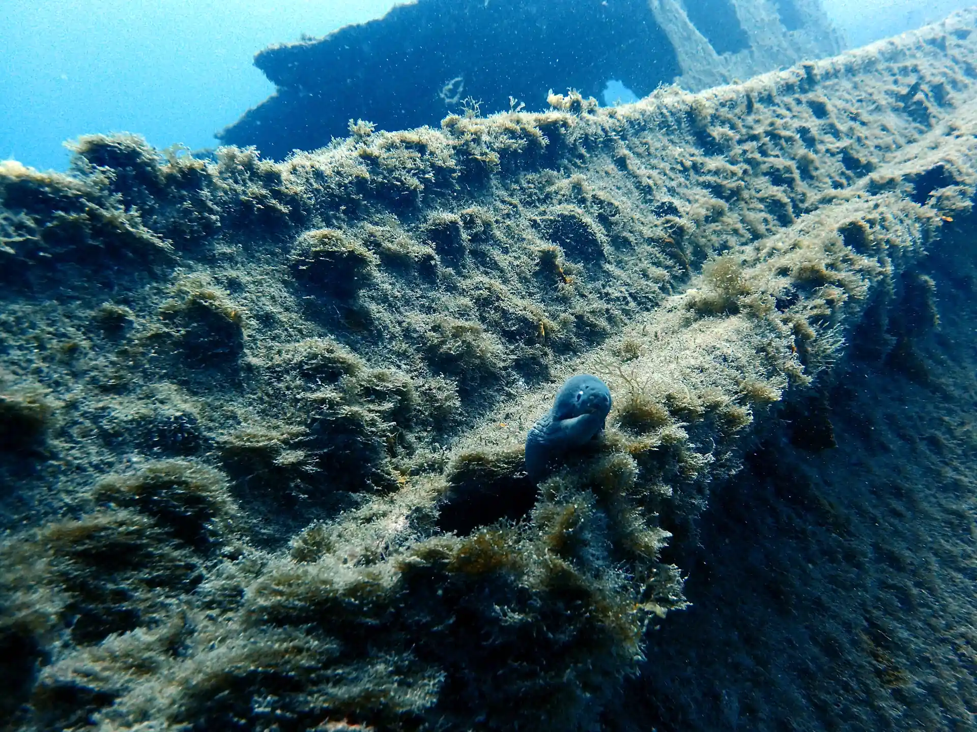 Lado del naufragio donde algunas anguilas Moray se esconden durante el día.