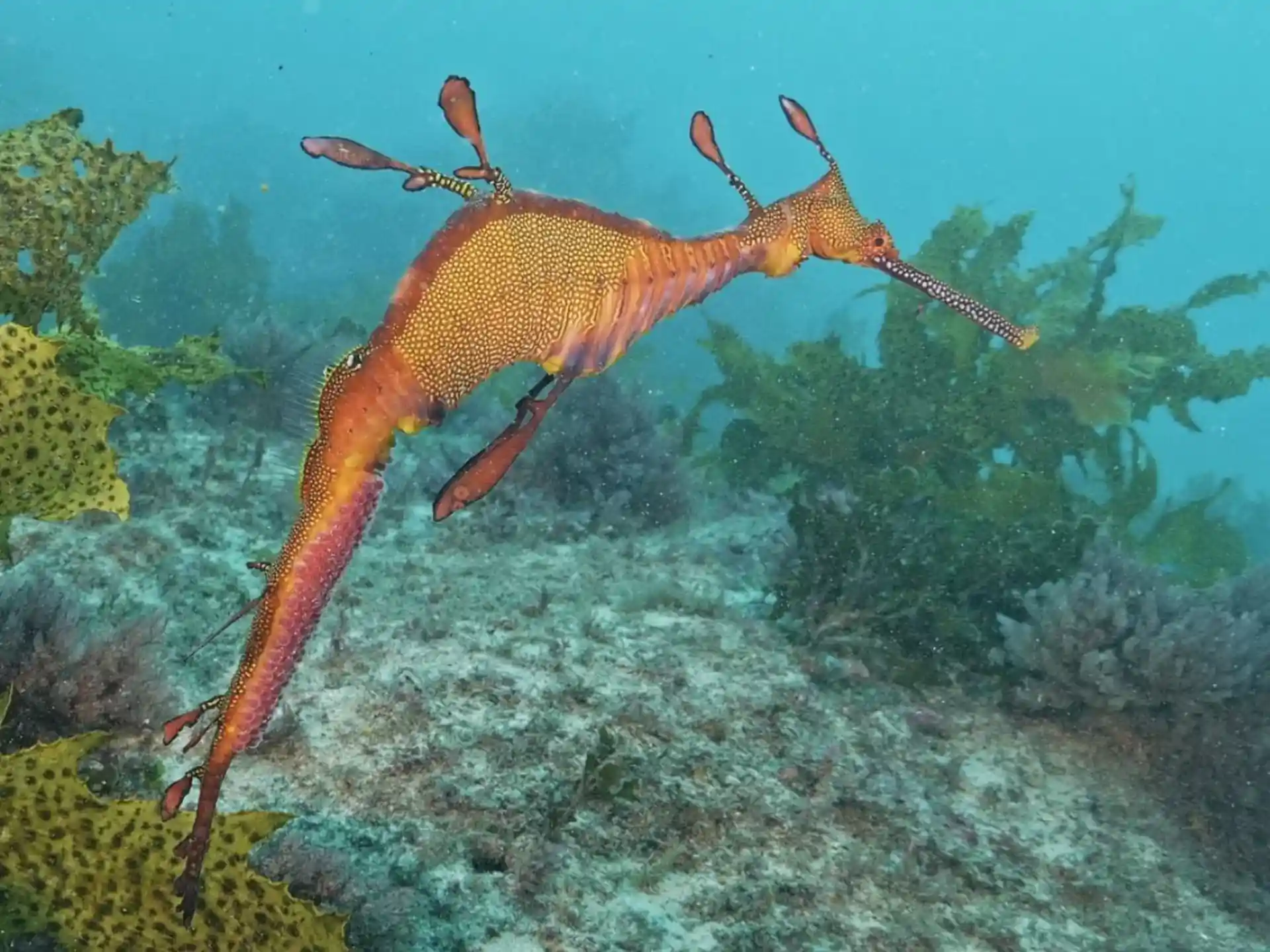 Dive site photo
