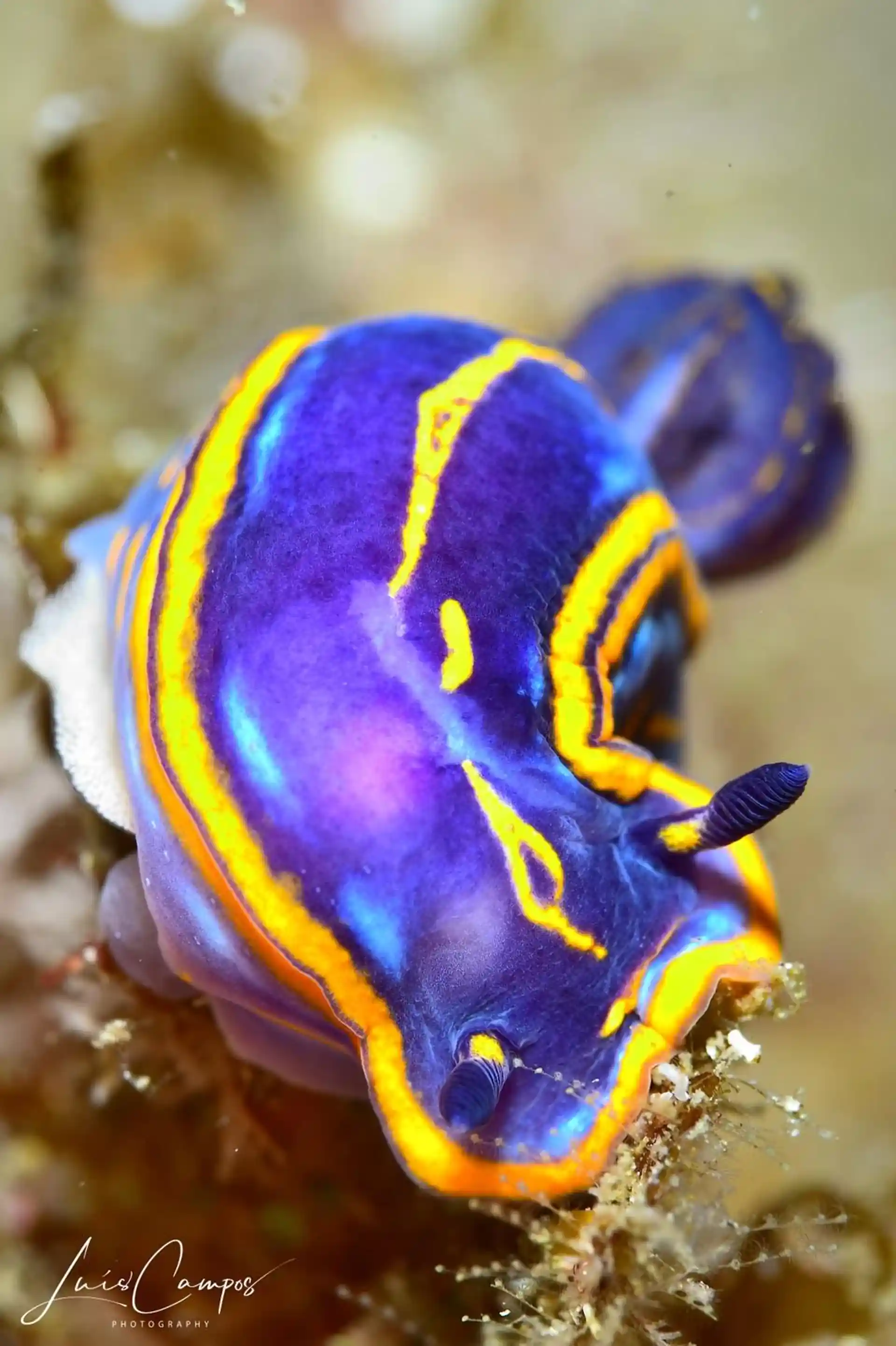 Dive site photo