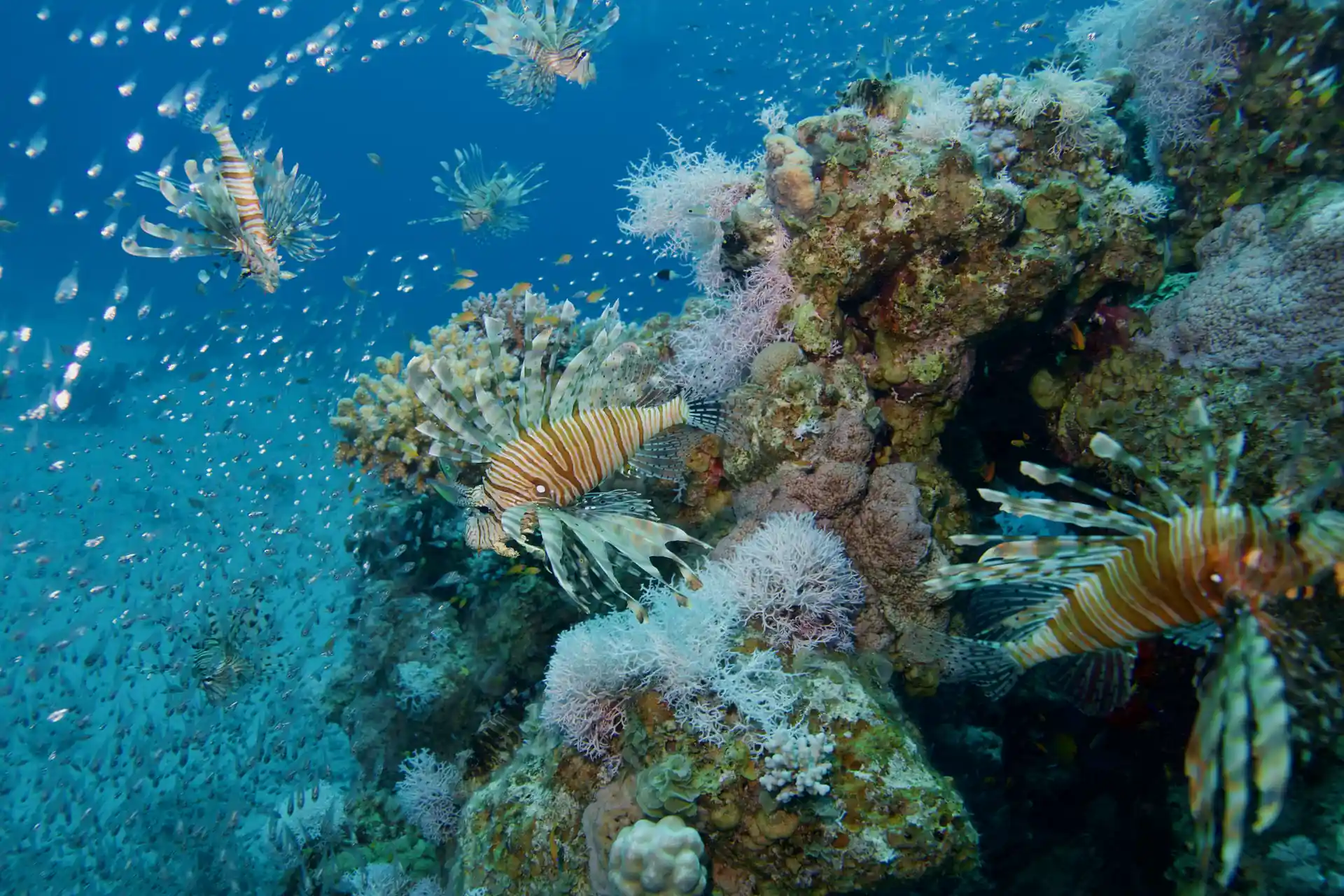 Photo de l'activité