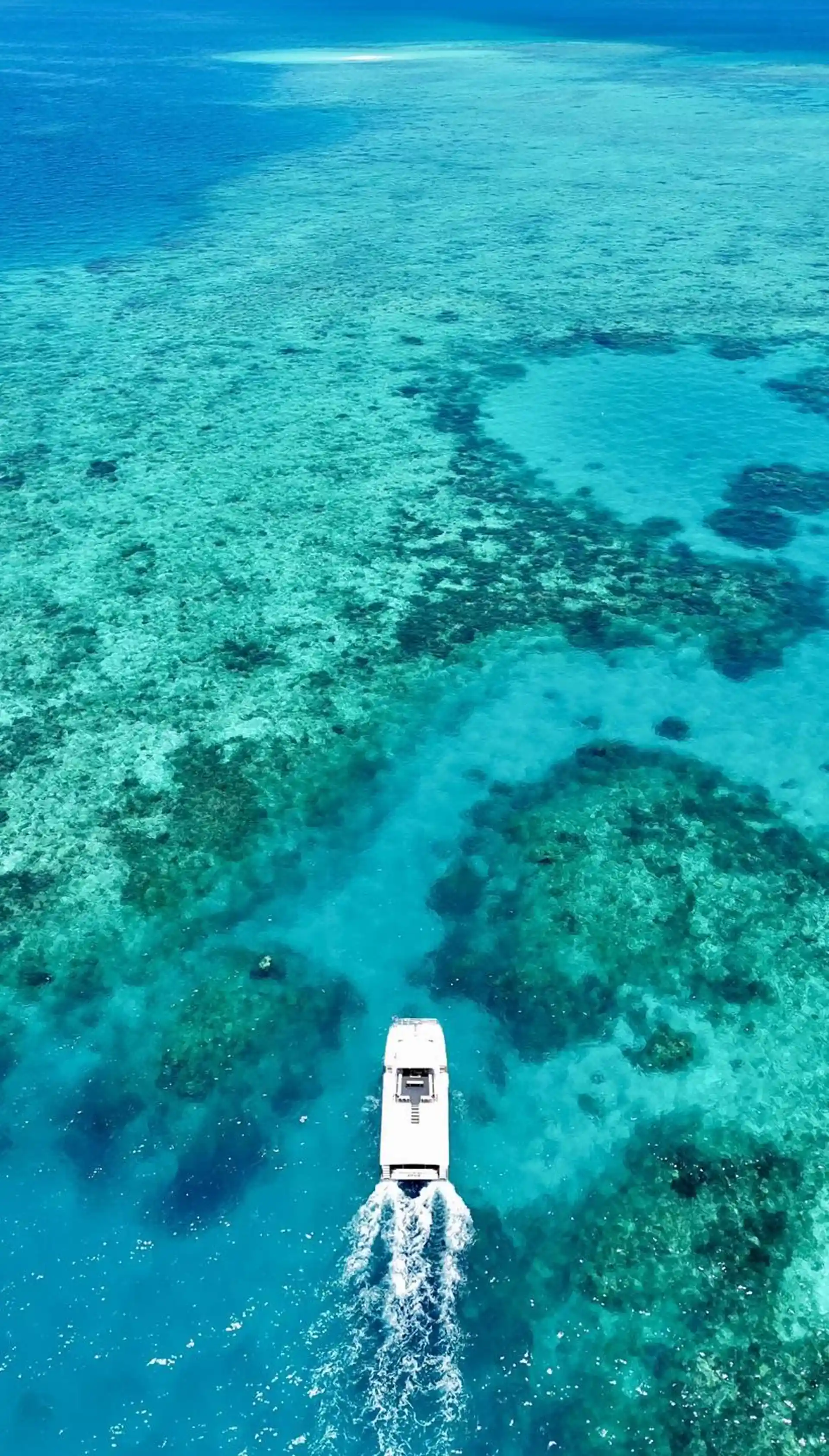 Foto de la tienda de buceo