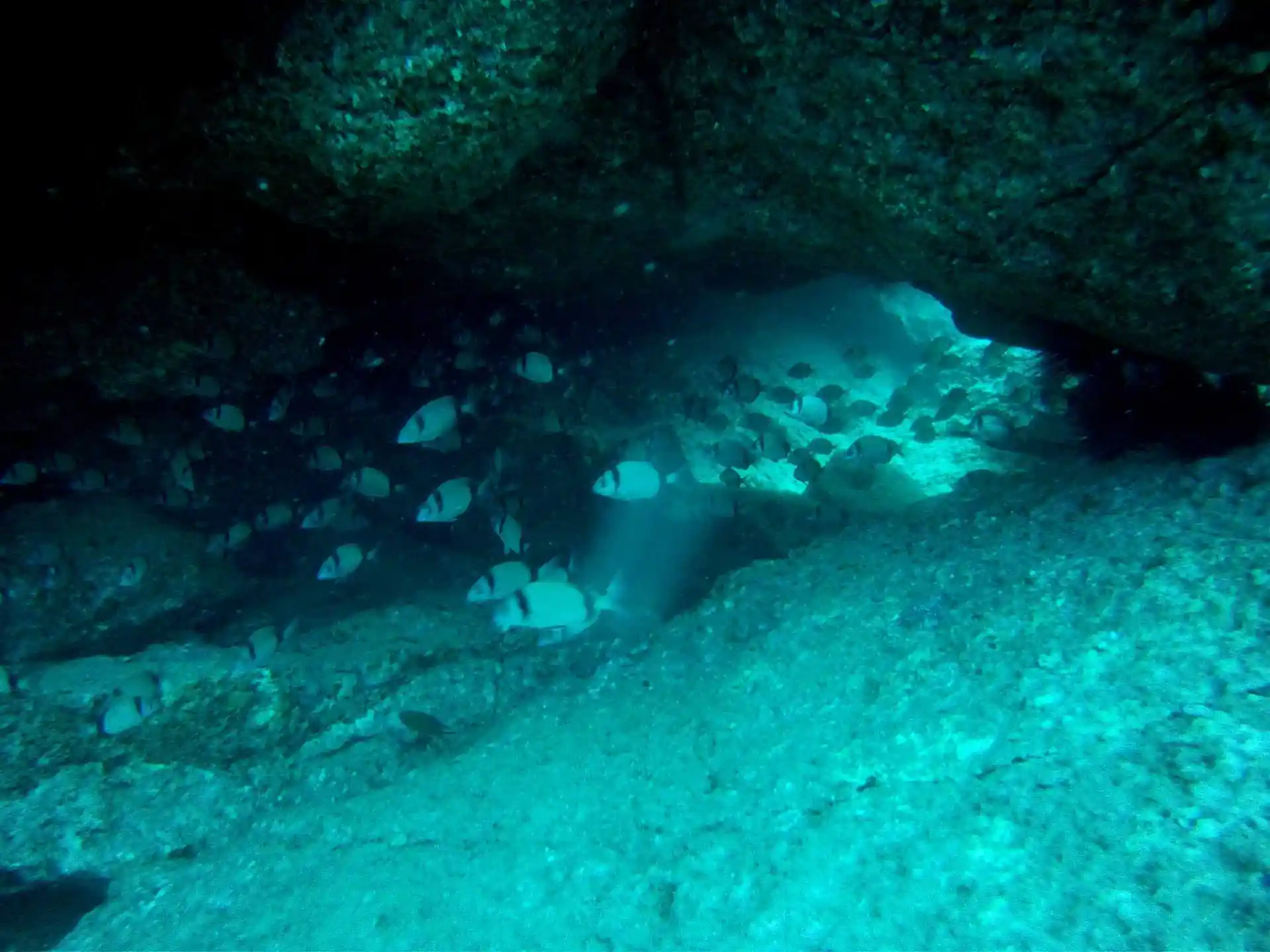 Foto van de duiklocatie