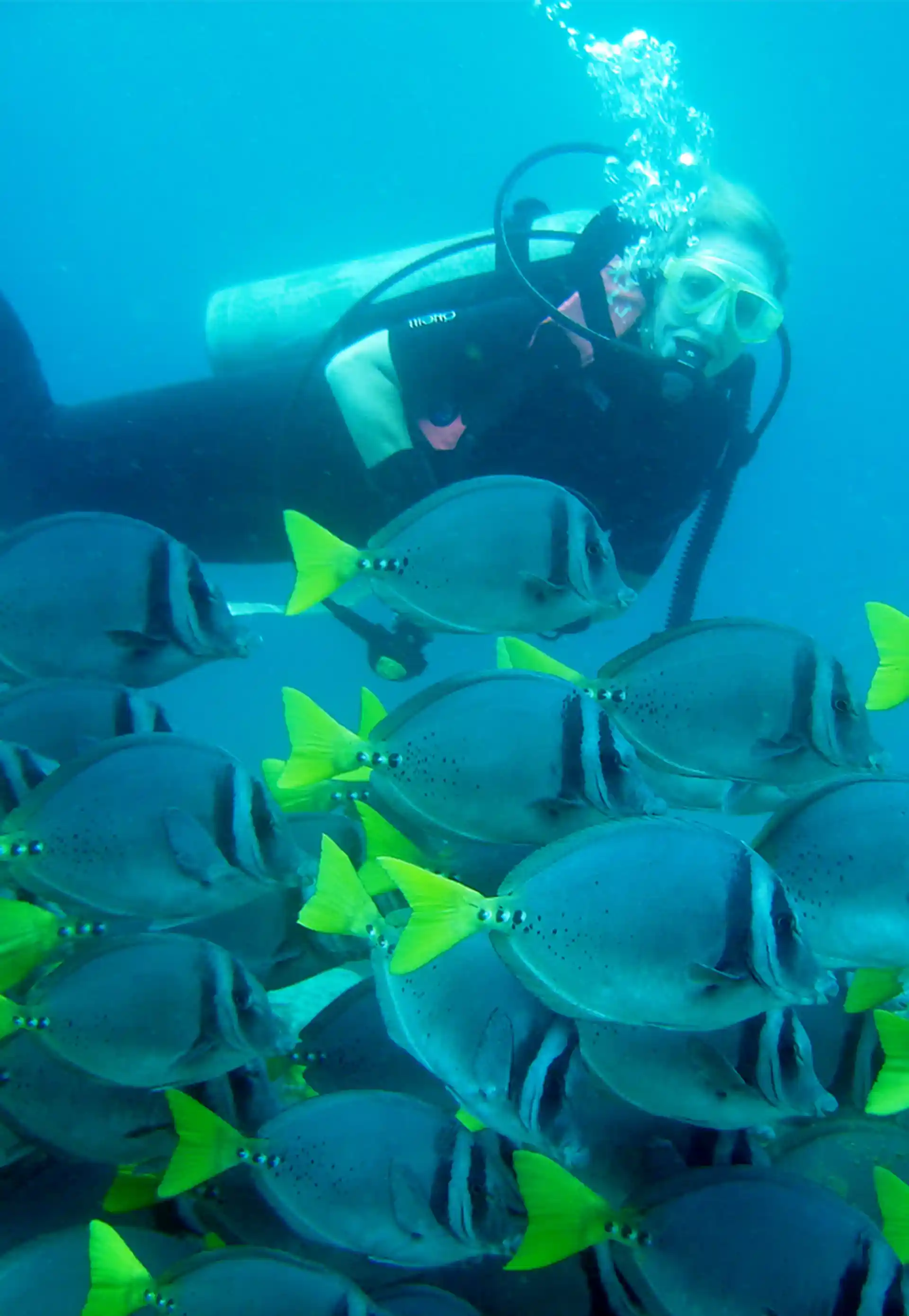 Dive shop photo