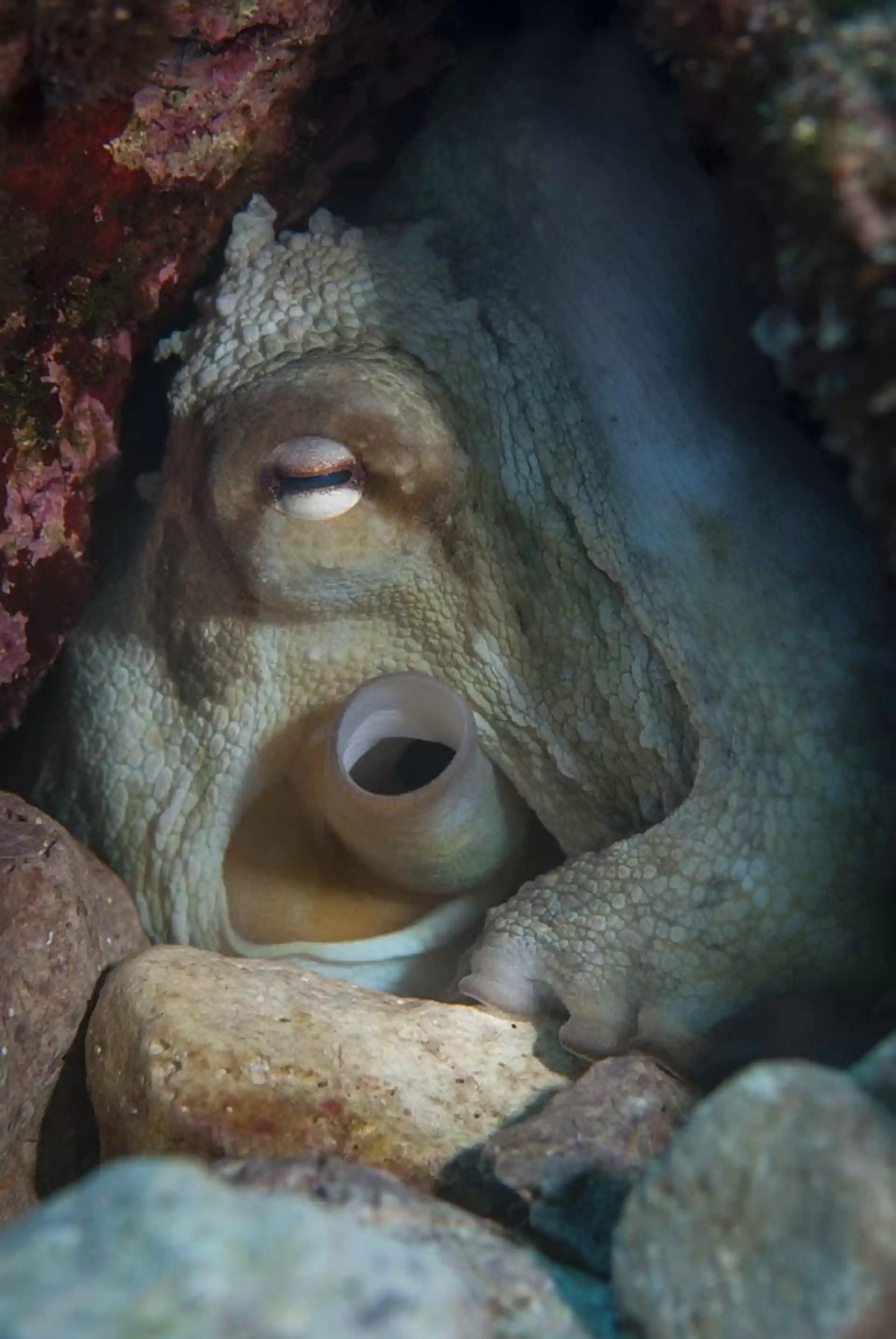 Foto del sitio de buceo