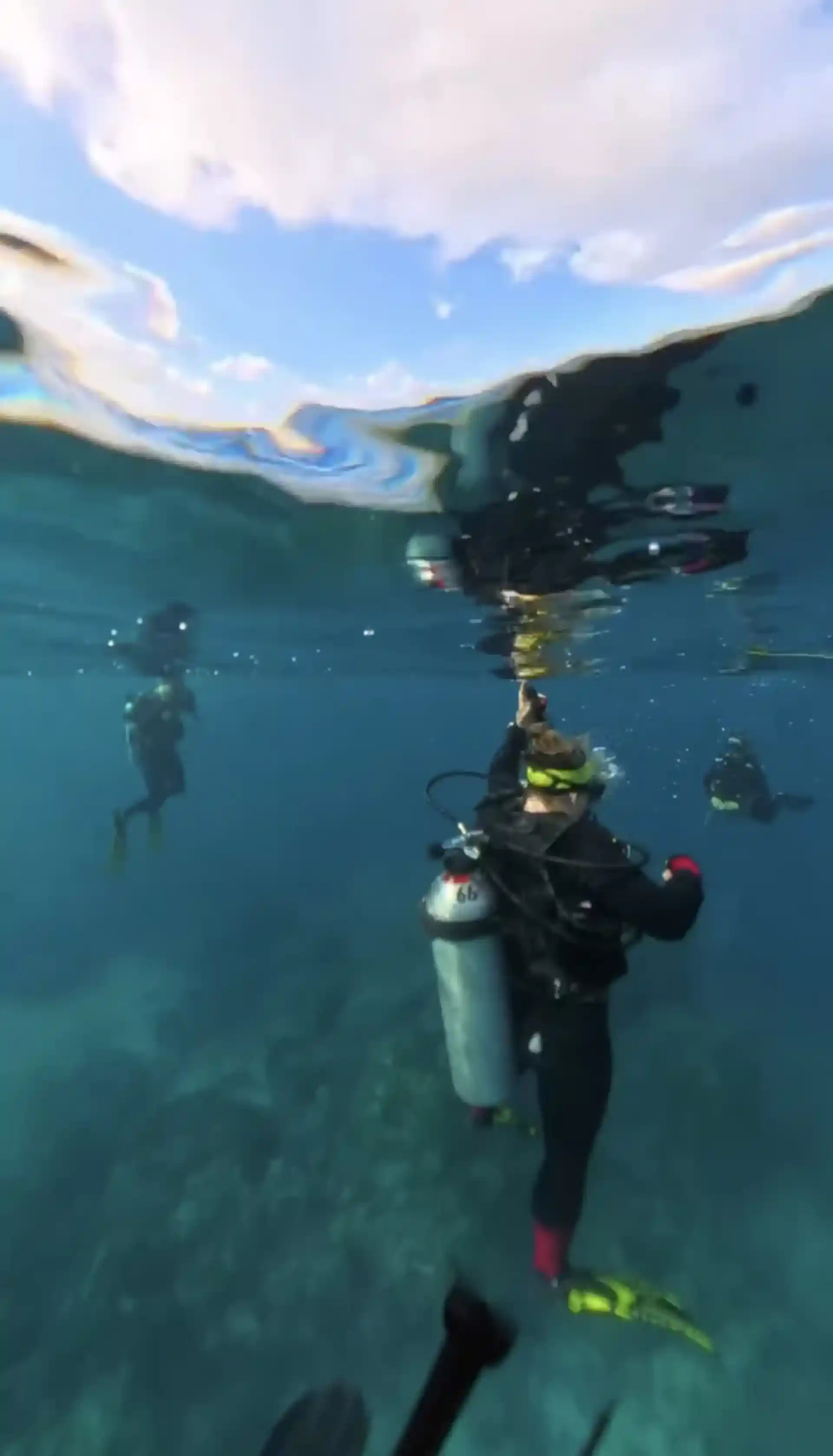Certified divers descending into Palancar reef