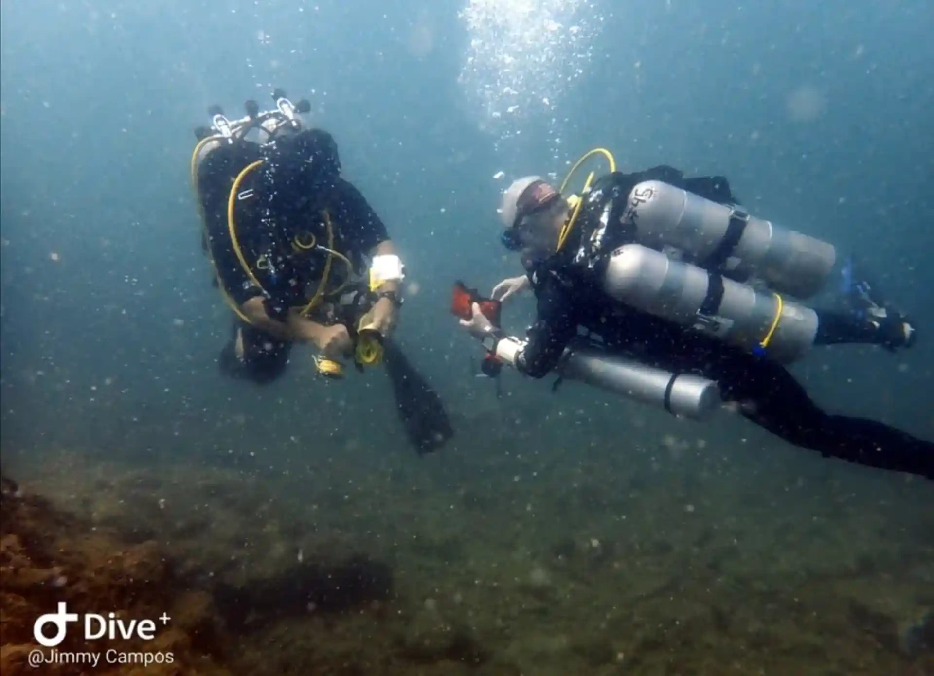 Dive site photo