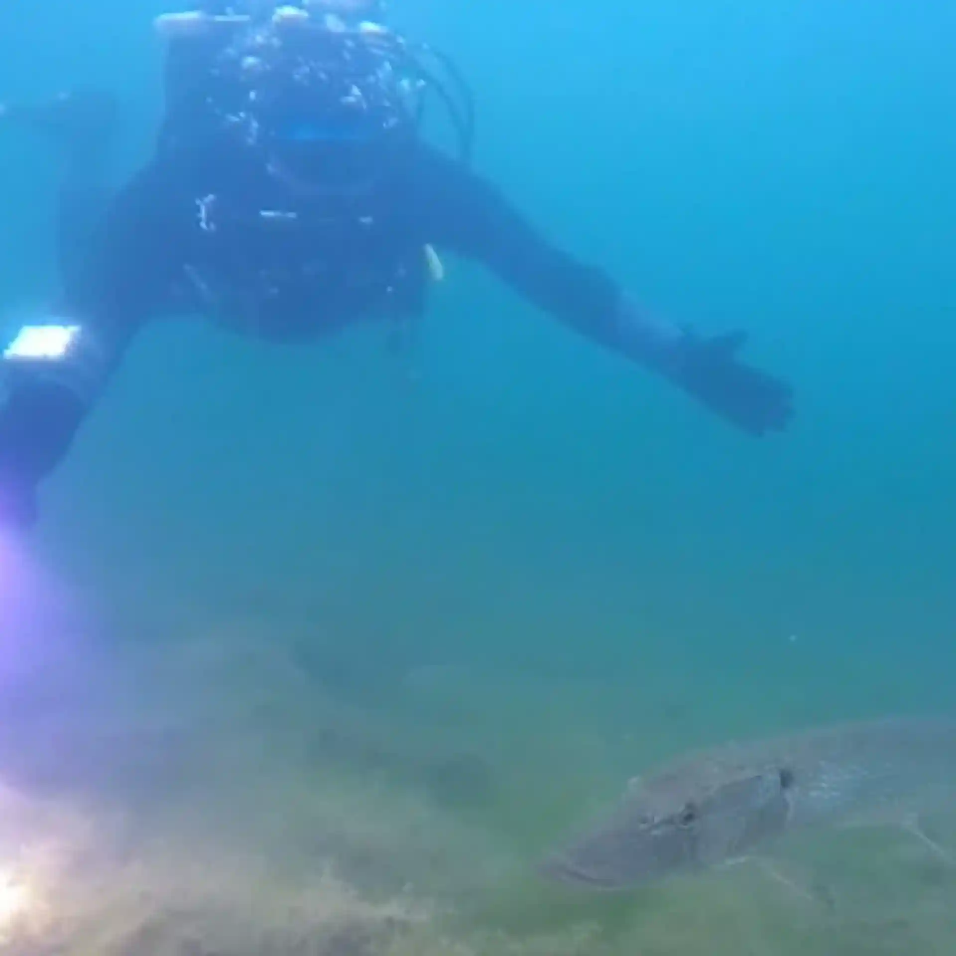 Dive site photo