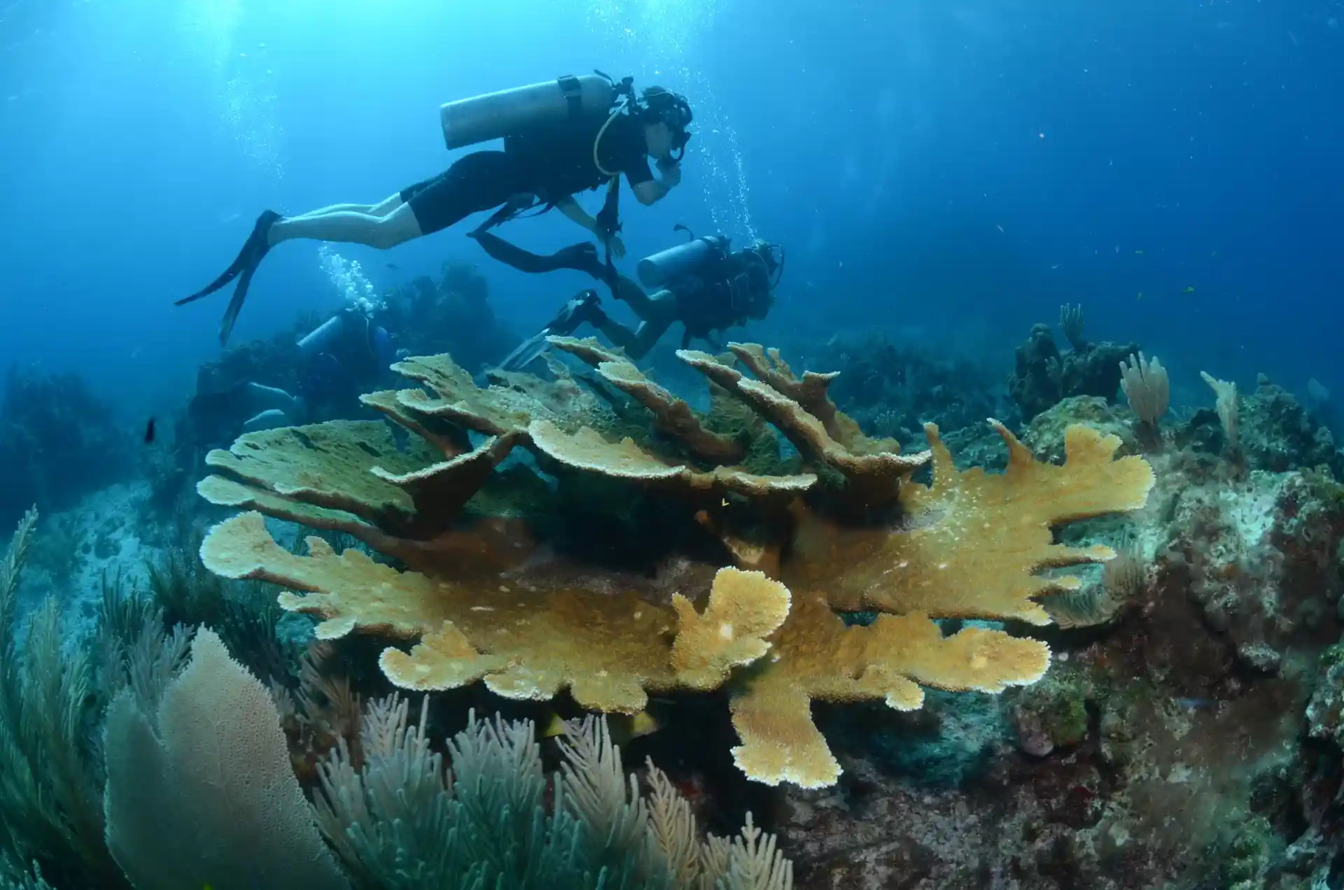 Dive shop photo