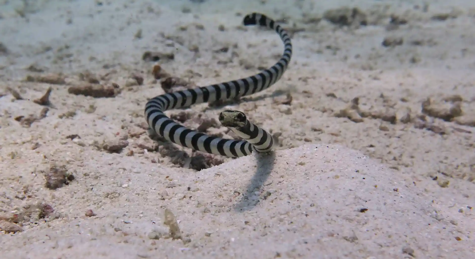Foto del sitio de buceo