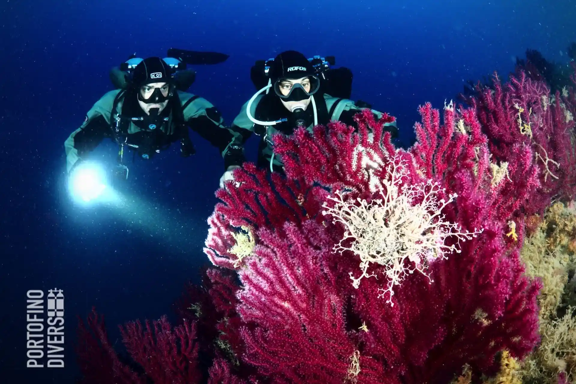 Deep diving in Portofino