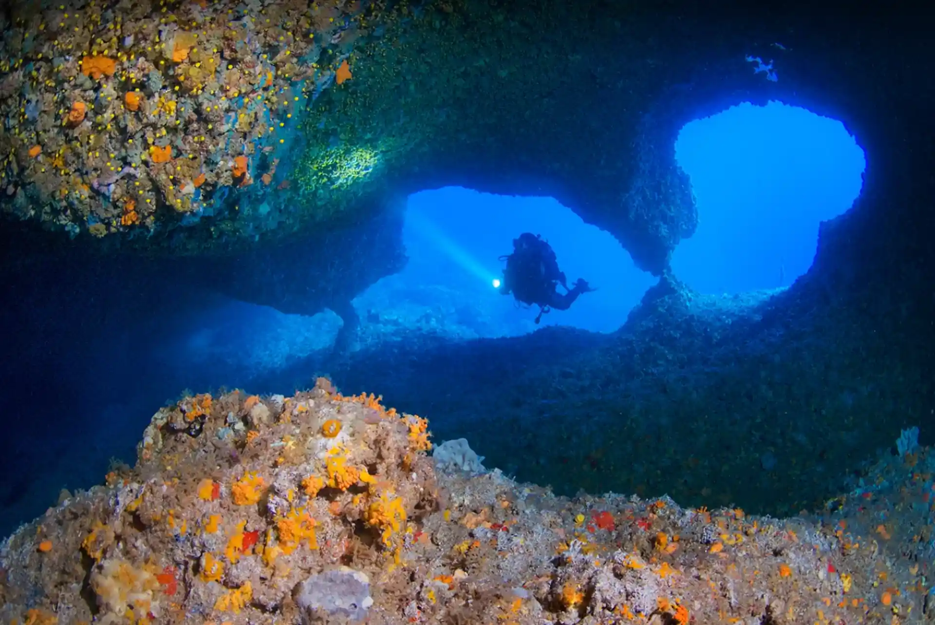 Dive site photo