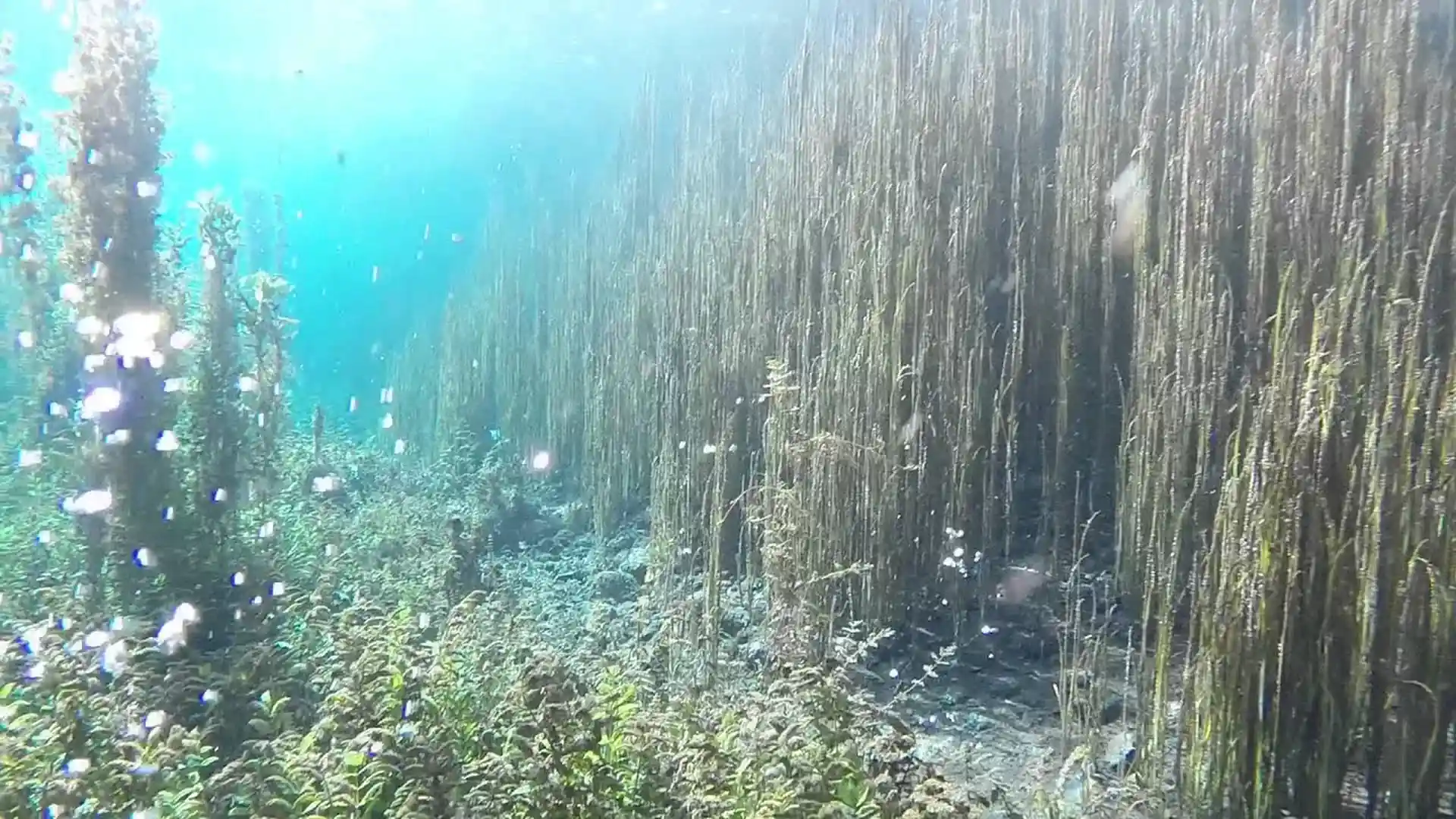 다이빙 포인트 사진