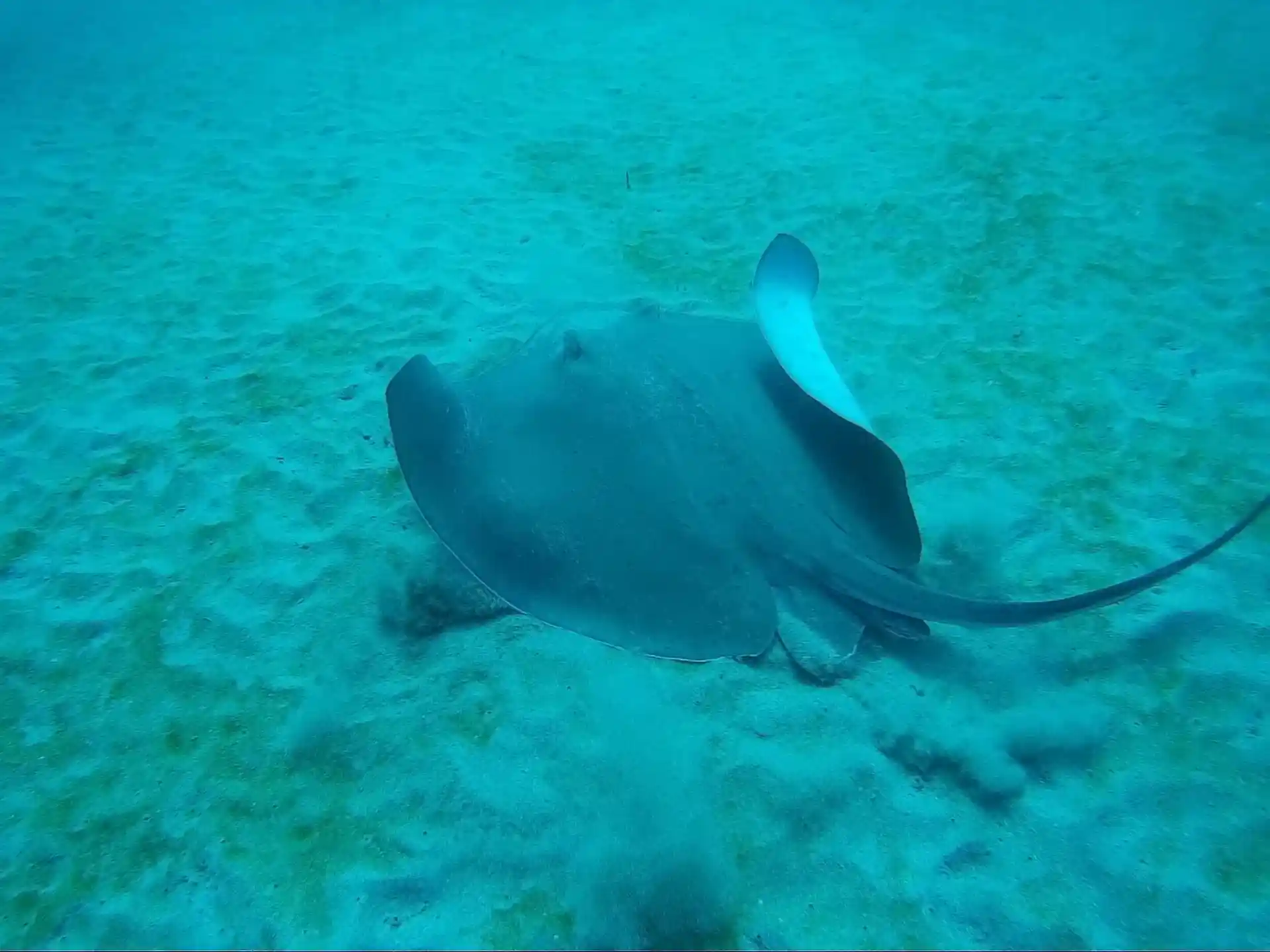 ダイビングサイトの写真