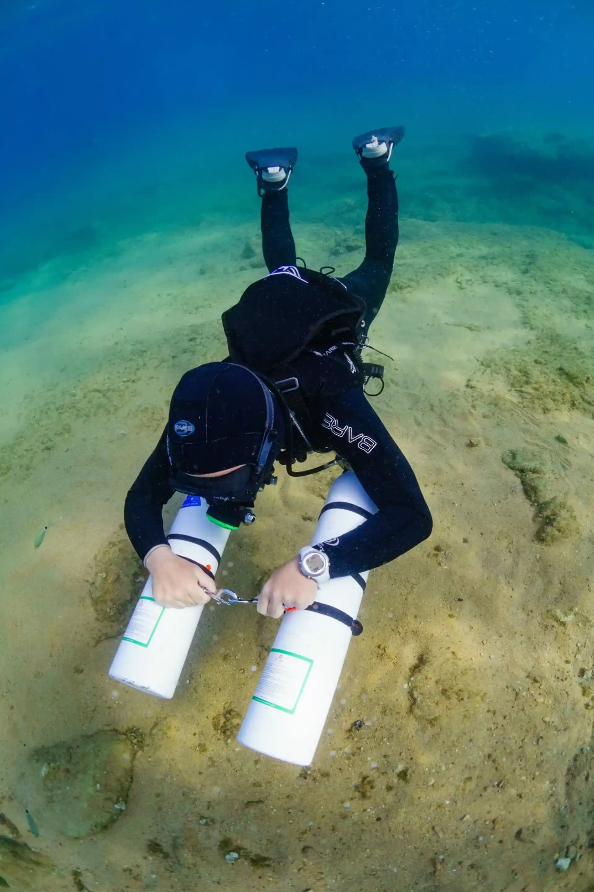 Foto de la actividad