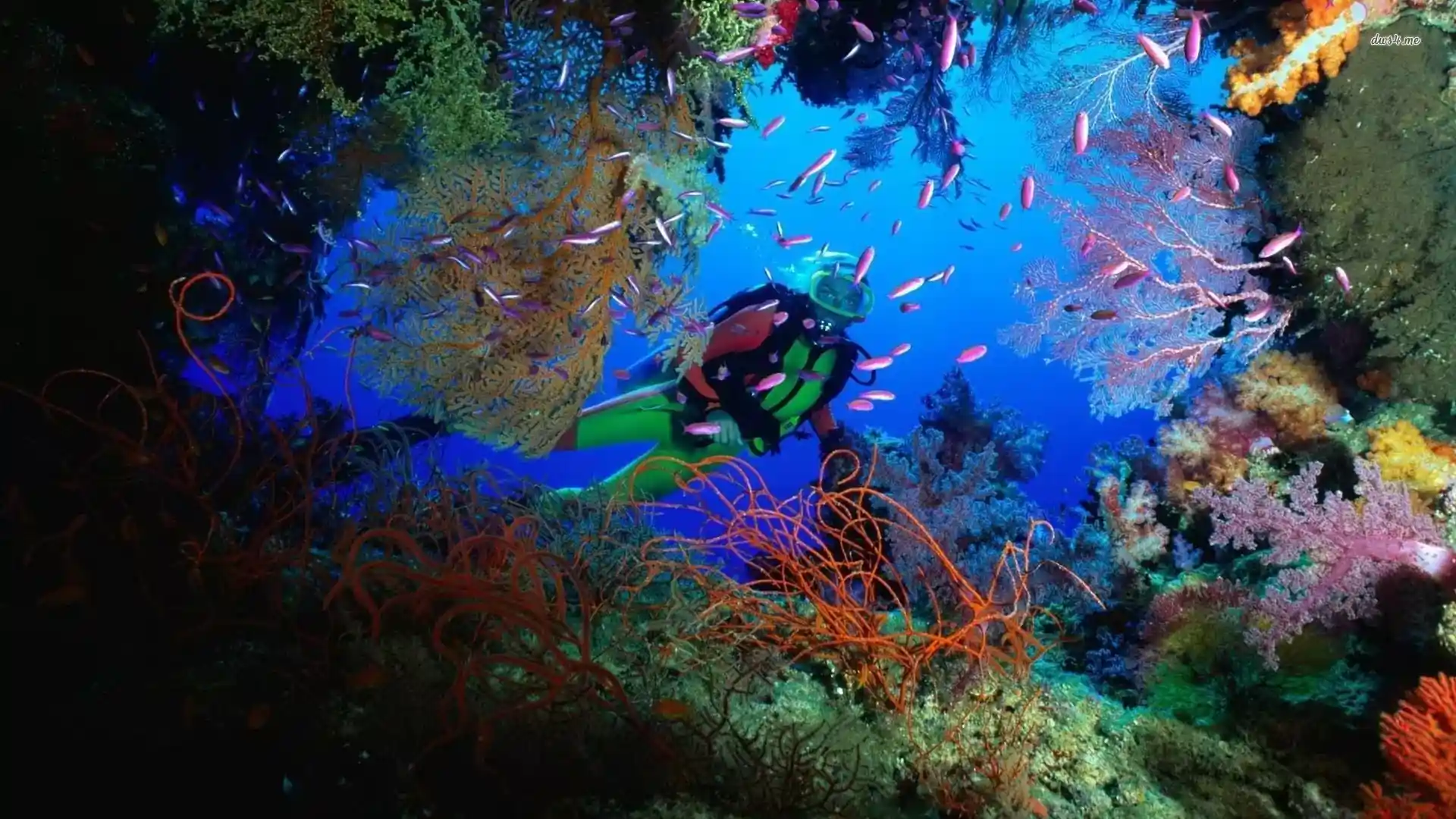 Dive site photo
