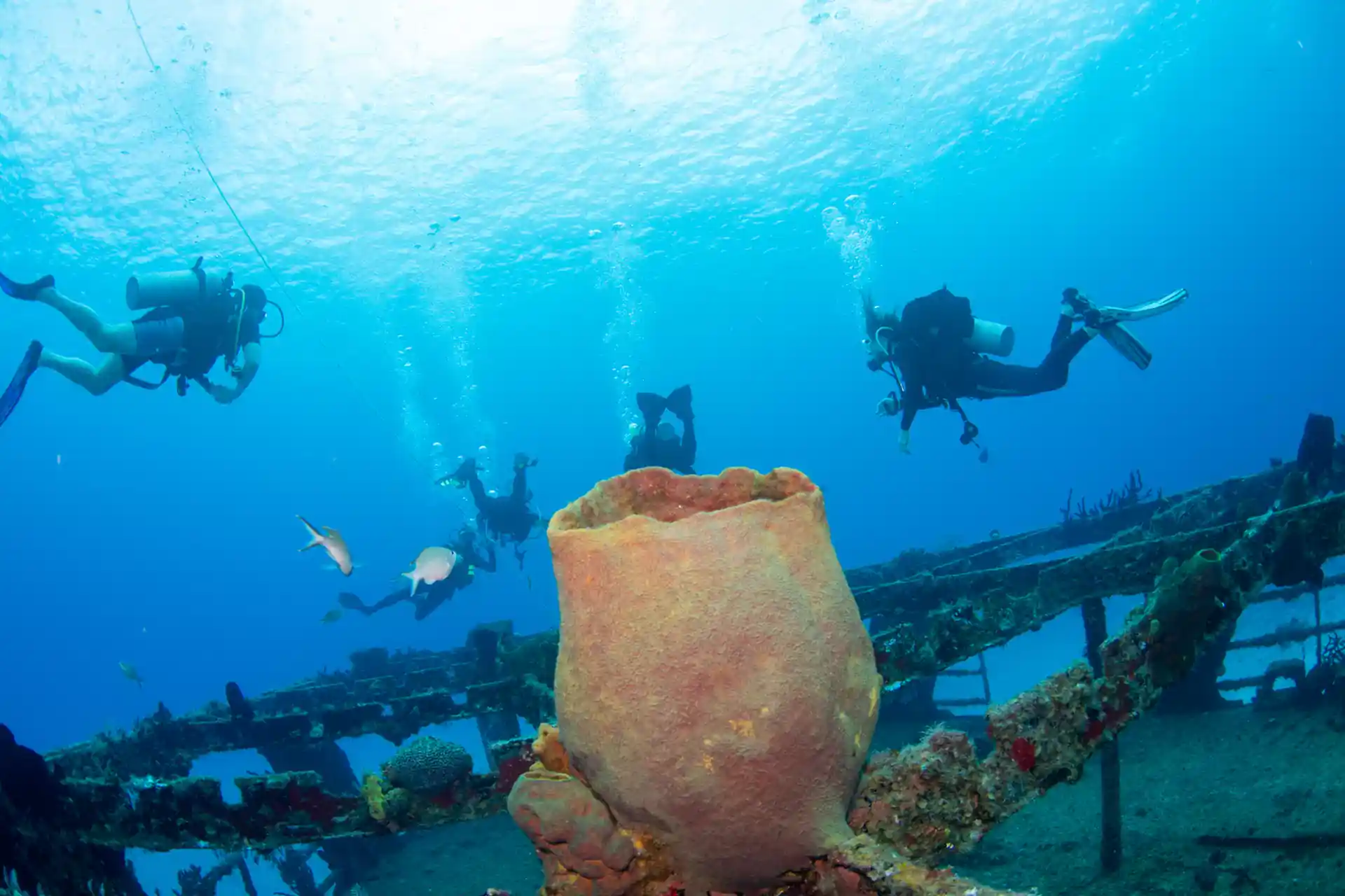 Foto dell'attività