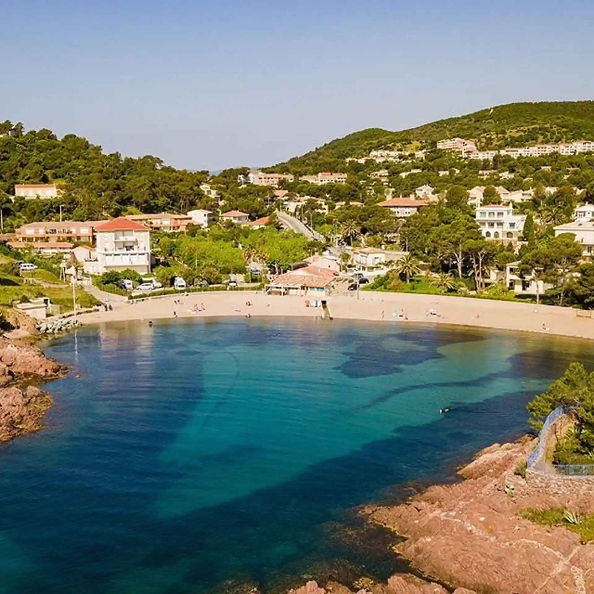 Photo de l'activité