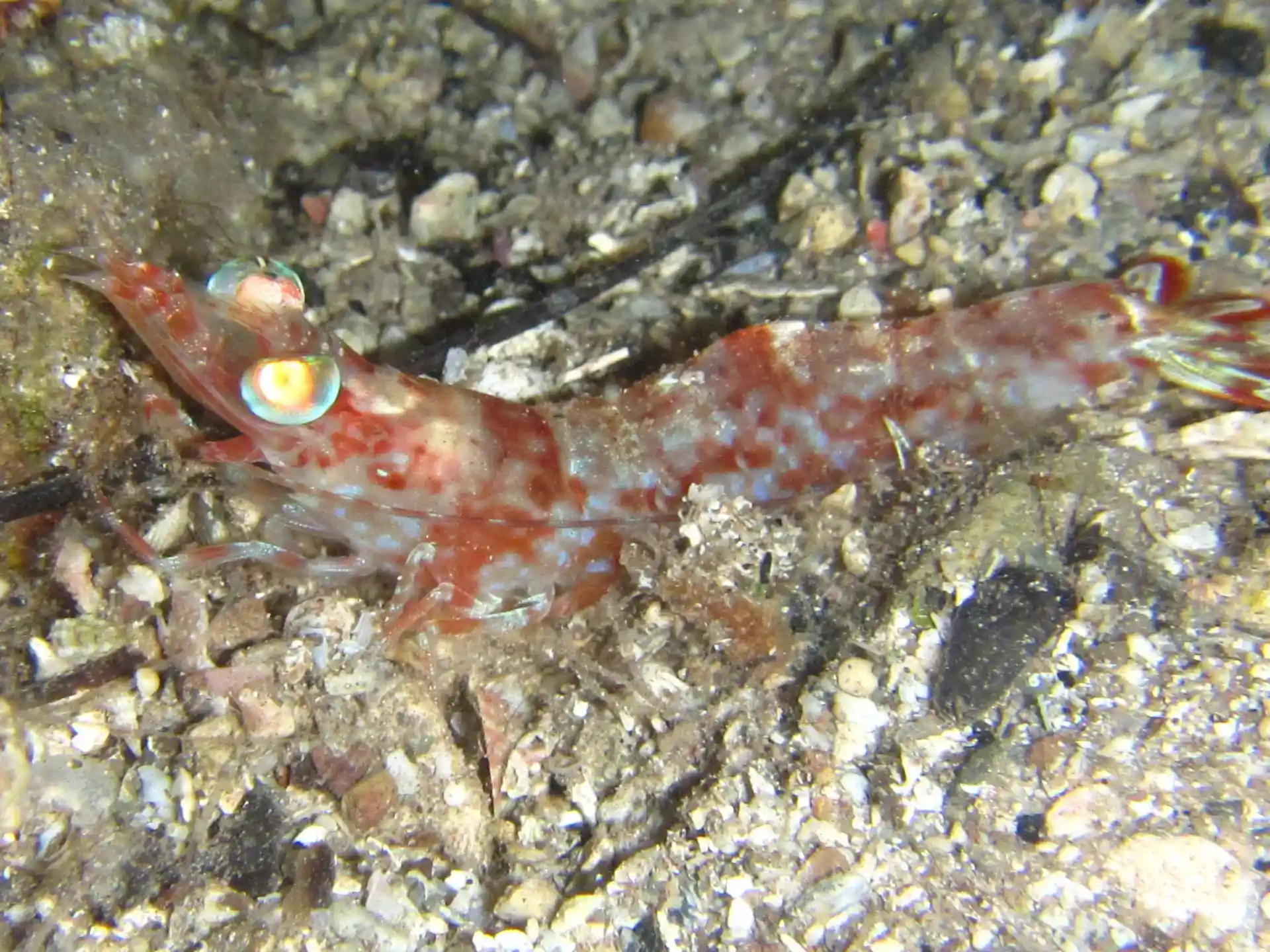Dive site photo