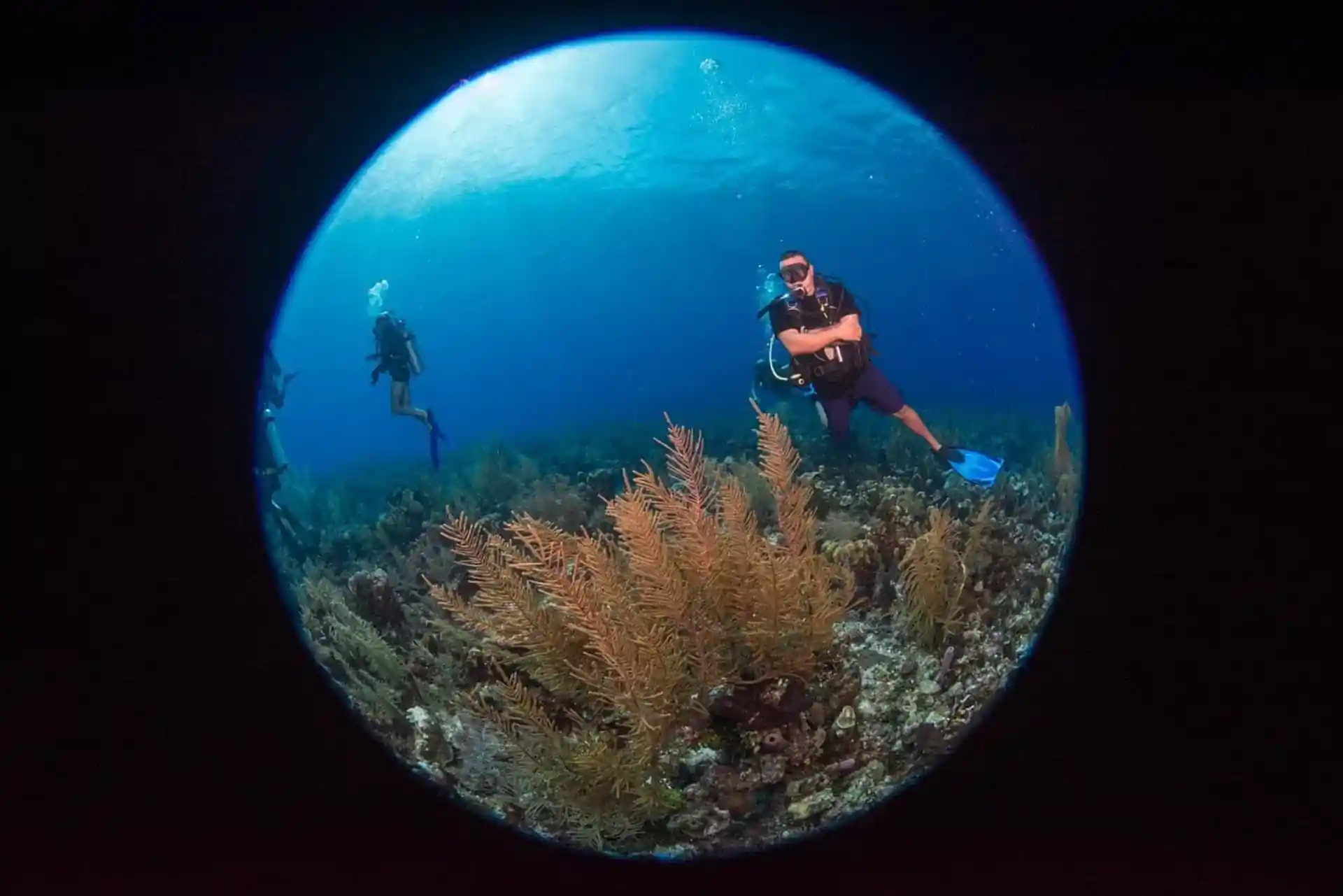 Your San Andrés underwater adventure begins at Blue Life diving center! best dive sites