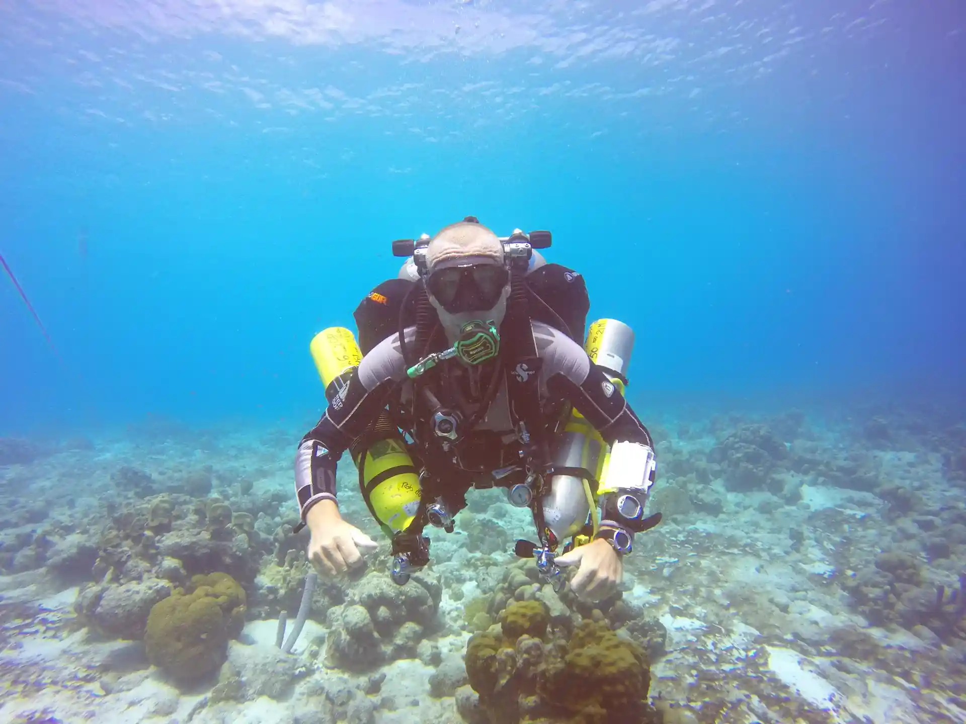 Dive site photo