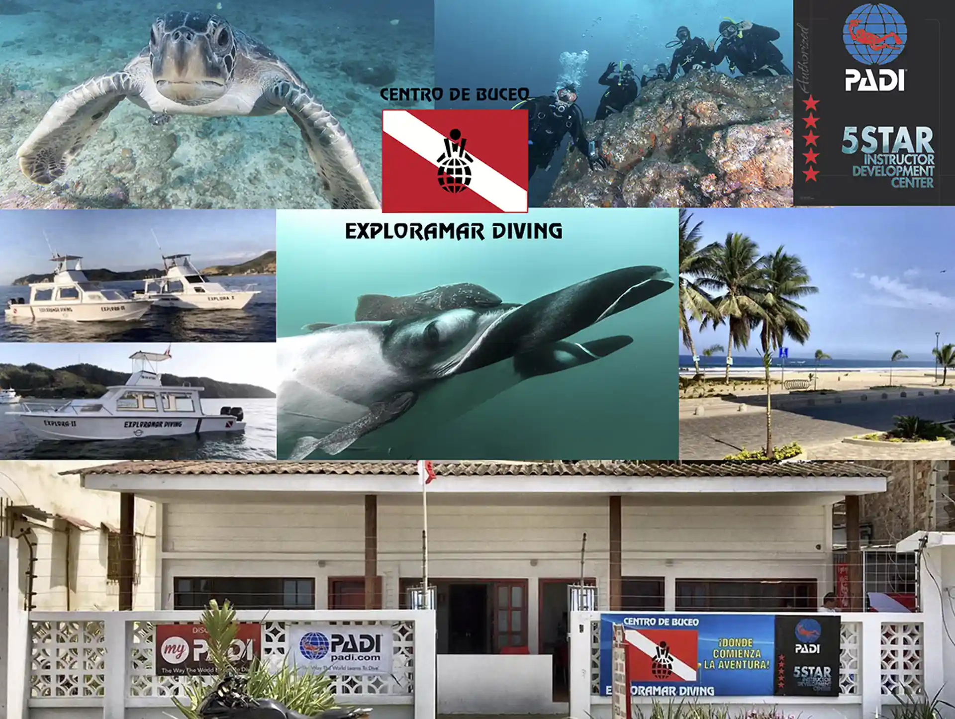 This course provides students with the knowledge and skills needed to enjoy scuba diving and receive