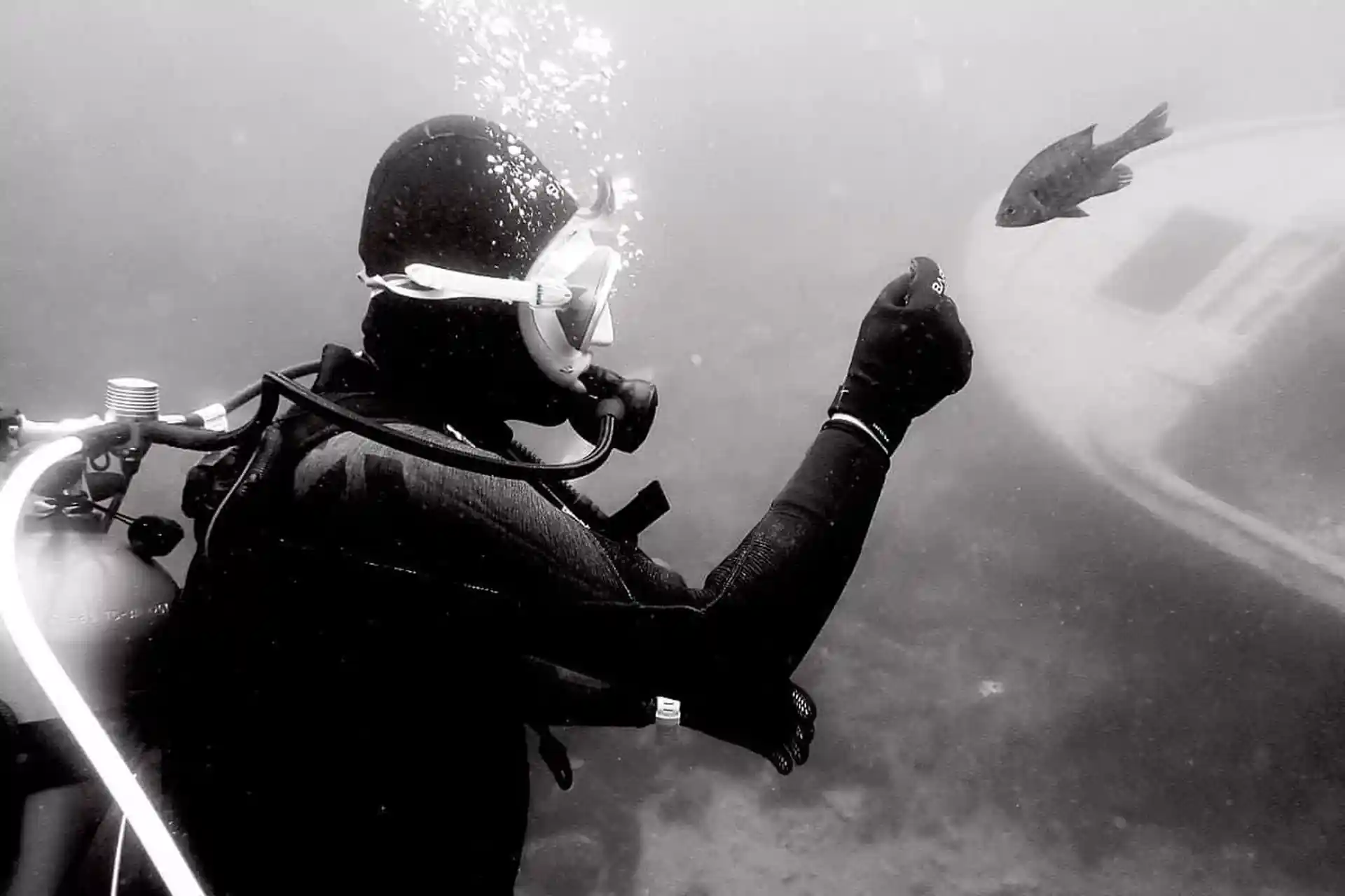Dive site photo