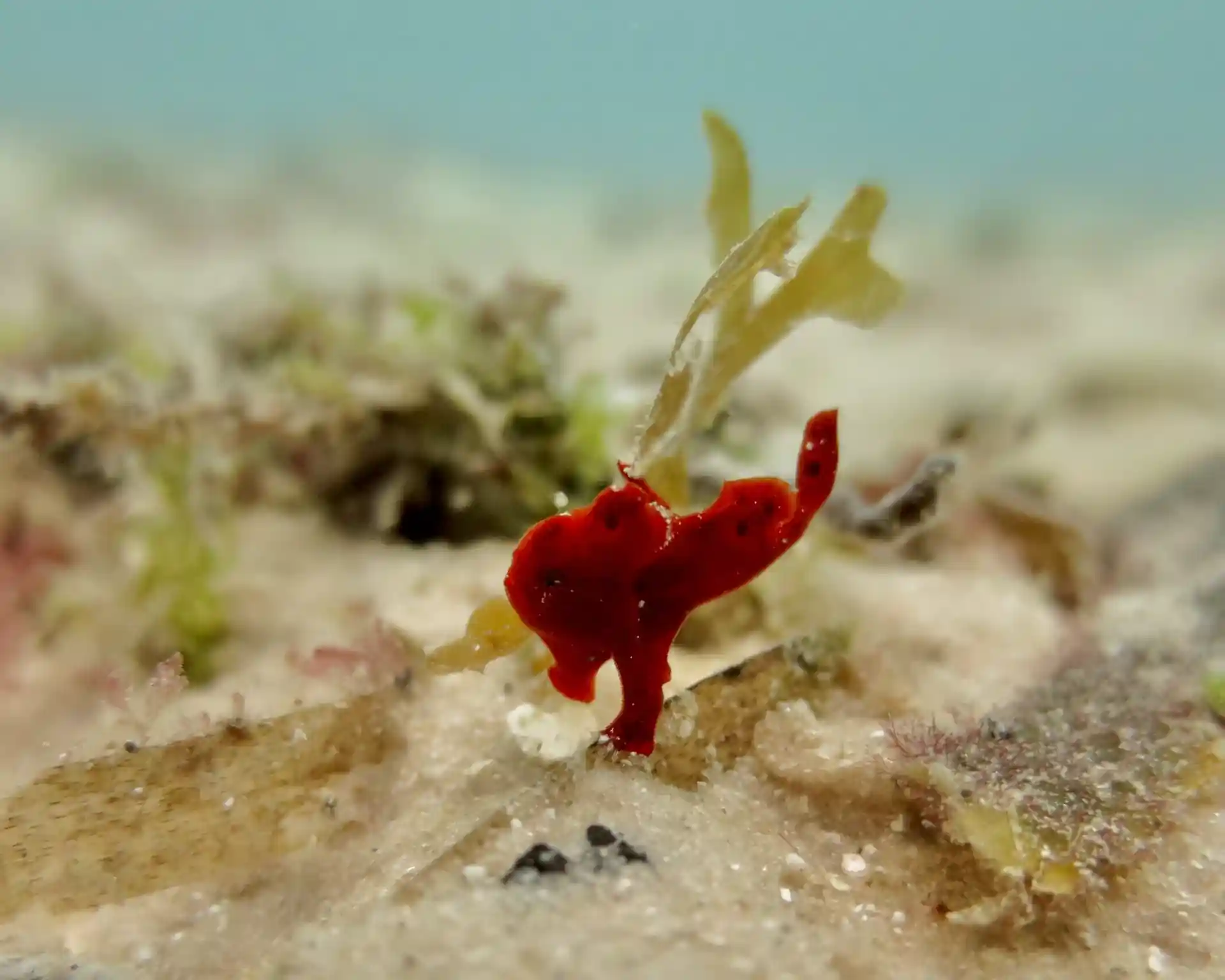 ダイビングサイトの写真