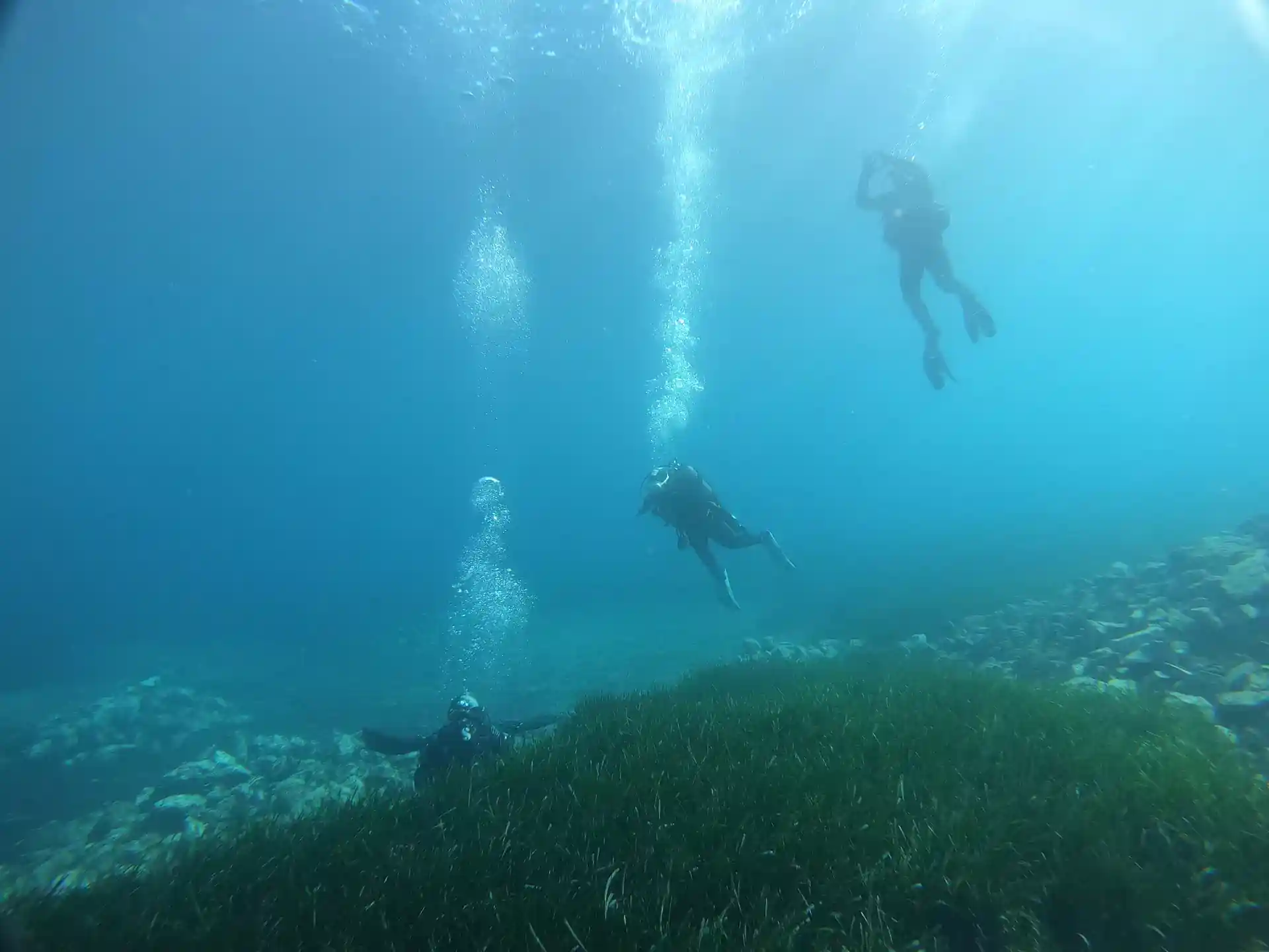 다이빙 포인트 사진