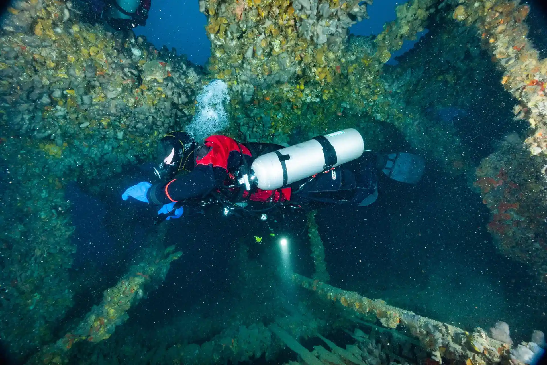 ダイビングサイトの写真