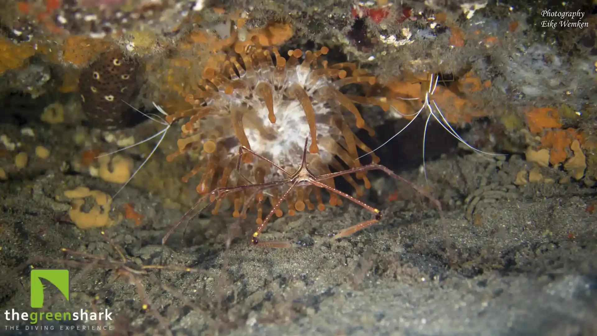 Foto del sitio de buceo