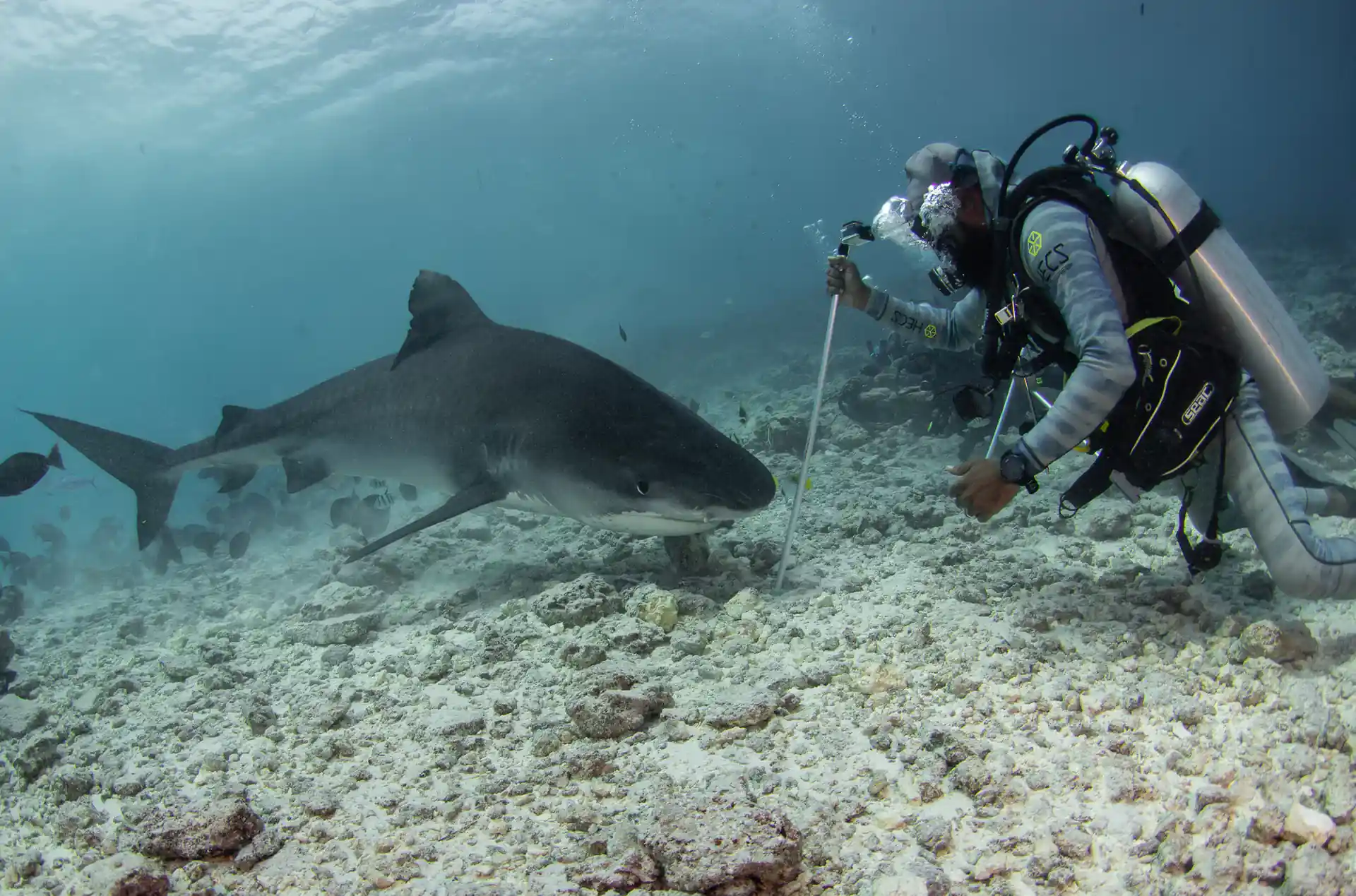 Dive site photo