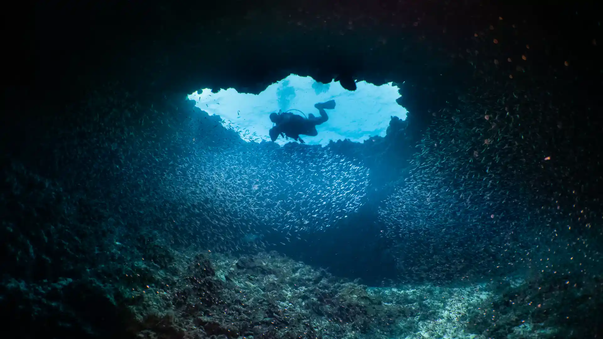 Foto de la tienda de buceo
