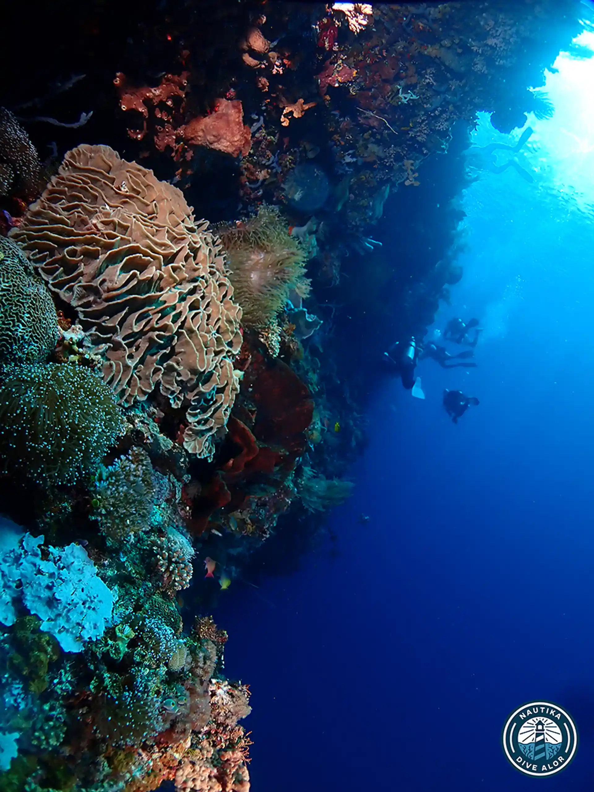 Dive site photo