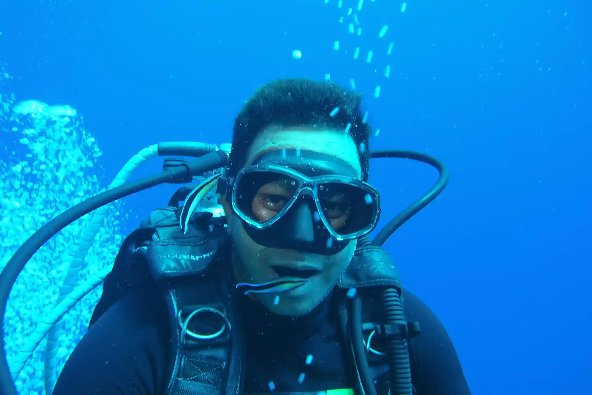 Moustafa and Cleaner Fish