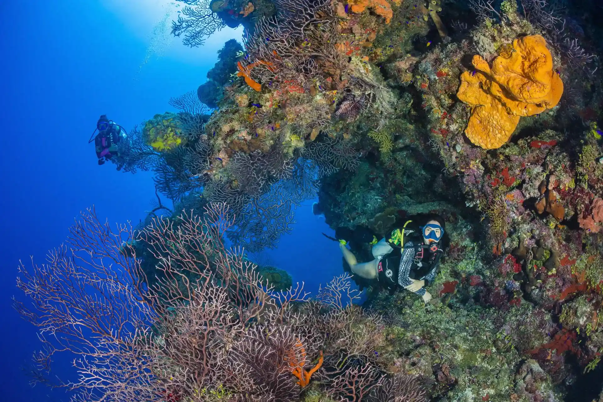 Dive site photo