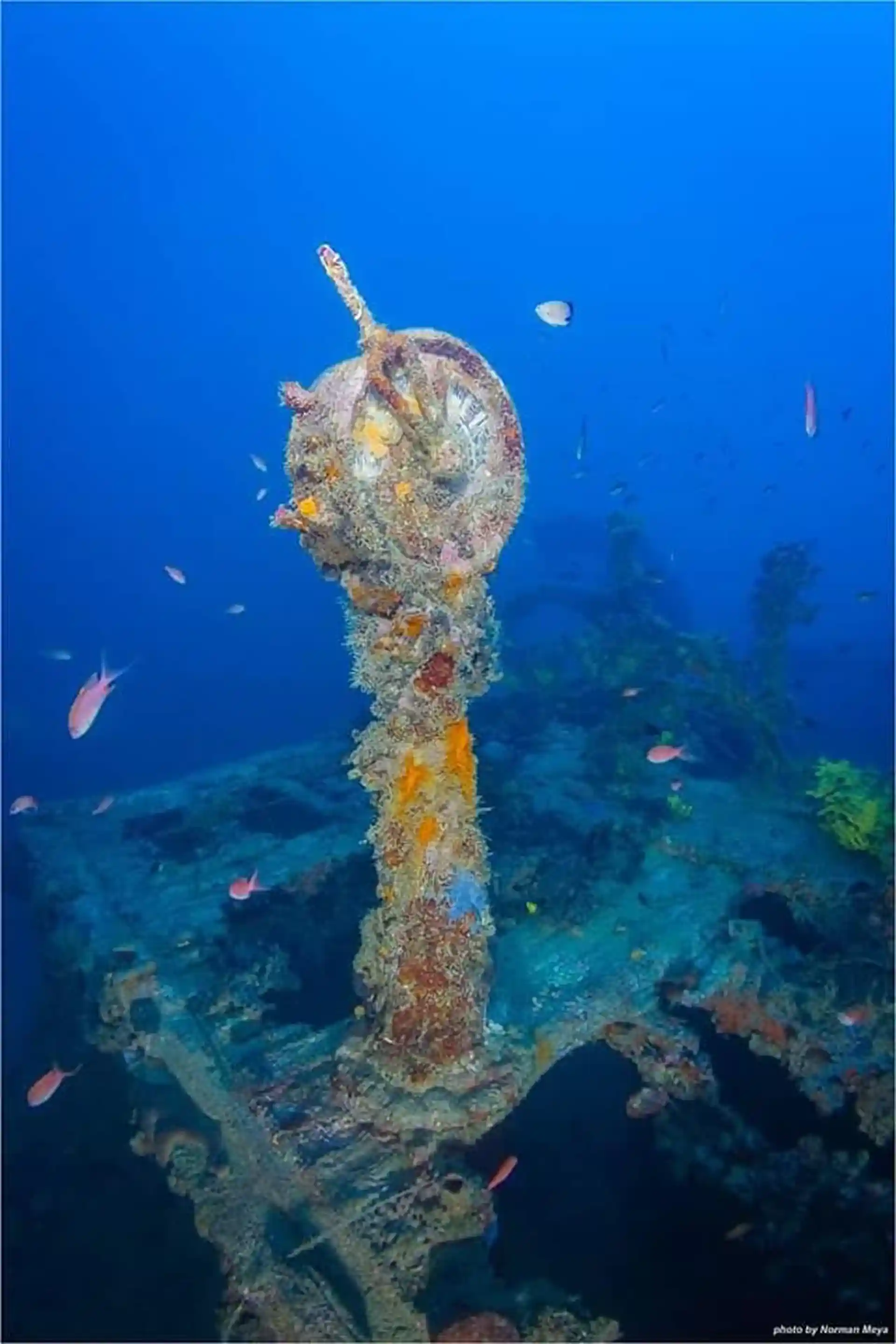 Foto de la tienda de buceo