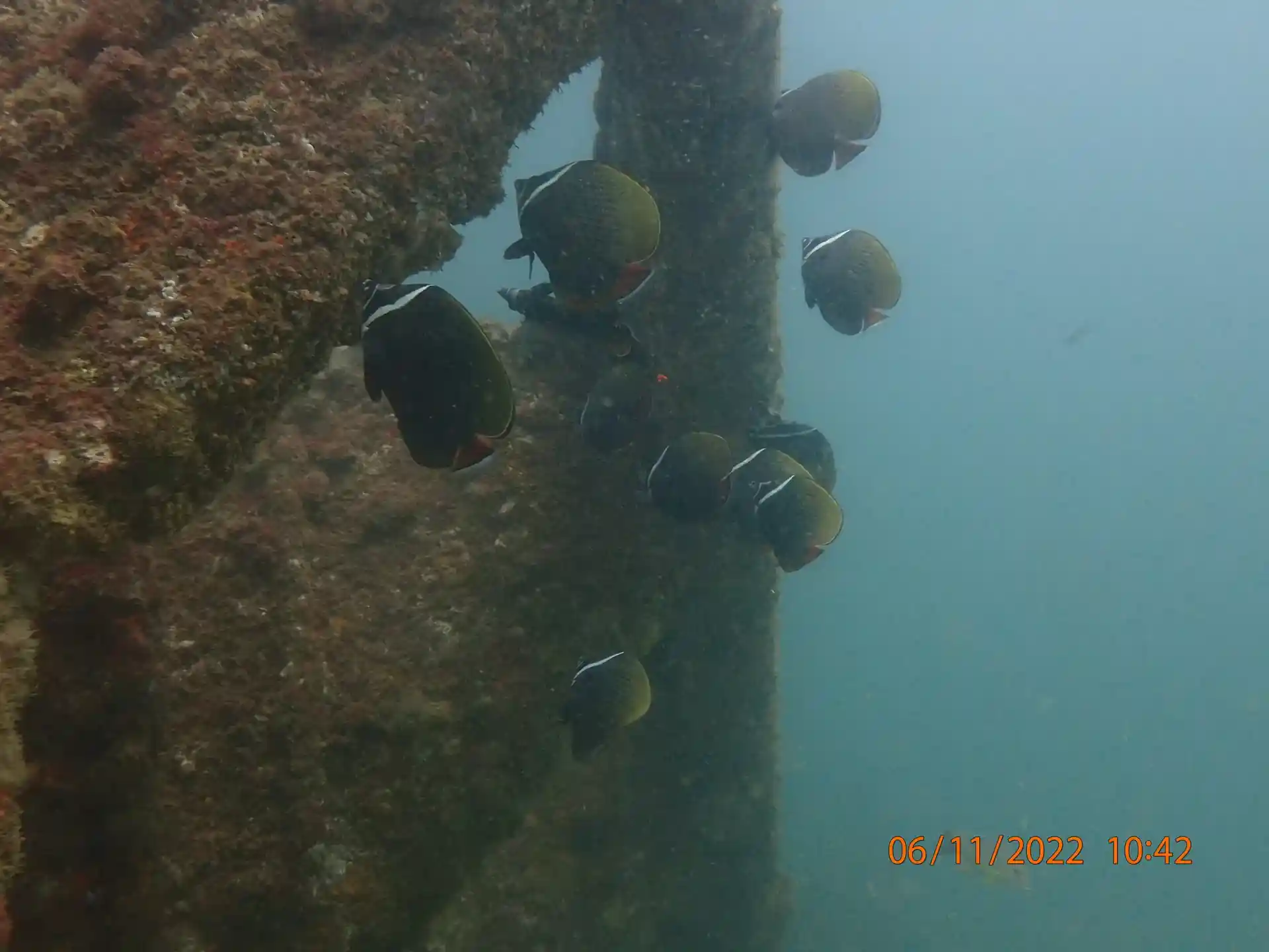 Dive site photo